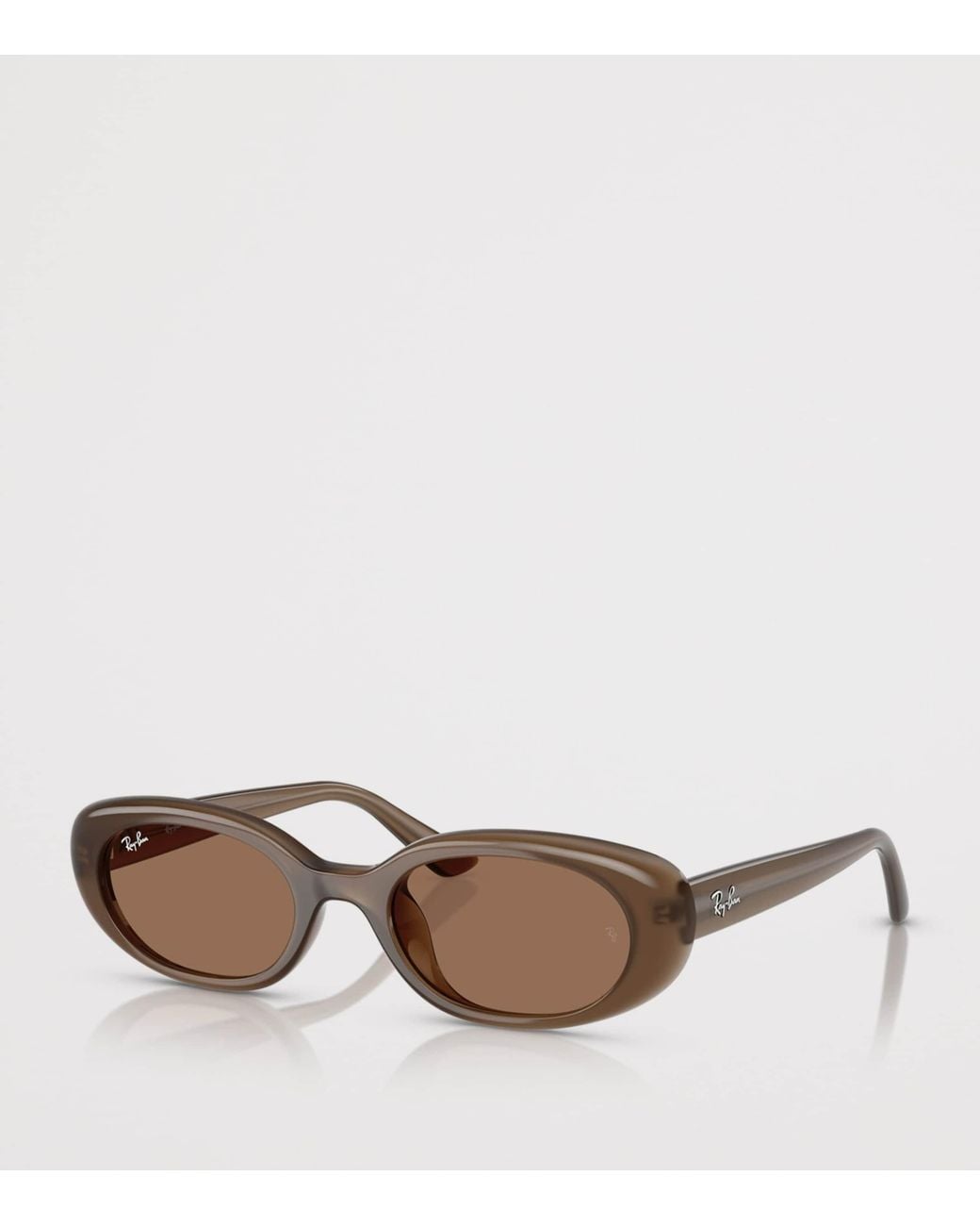 Ray-Ban Brown Injected Oval Sunglasses