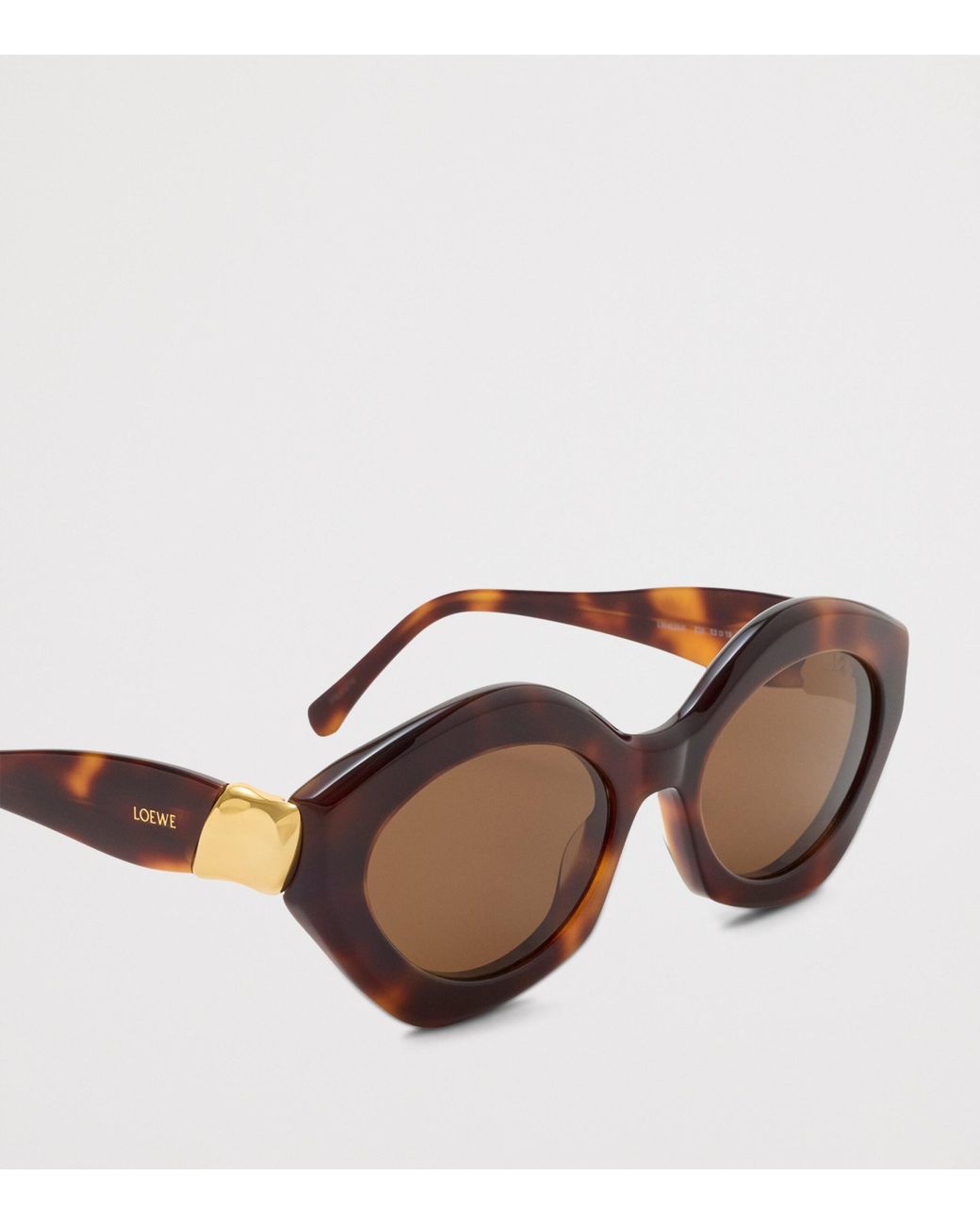 Loewe Brown Acetate Coil Cat Eye Sunglasses