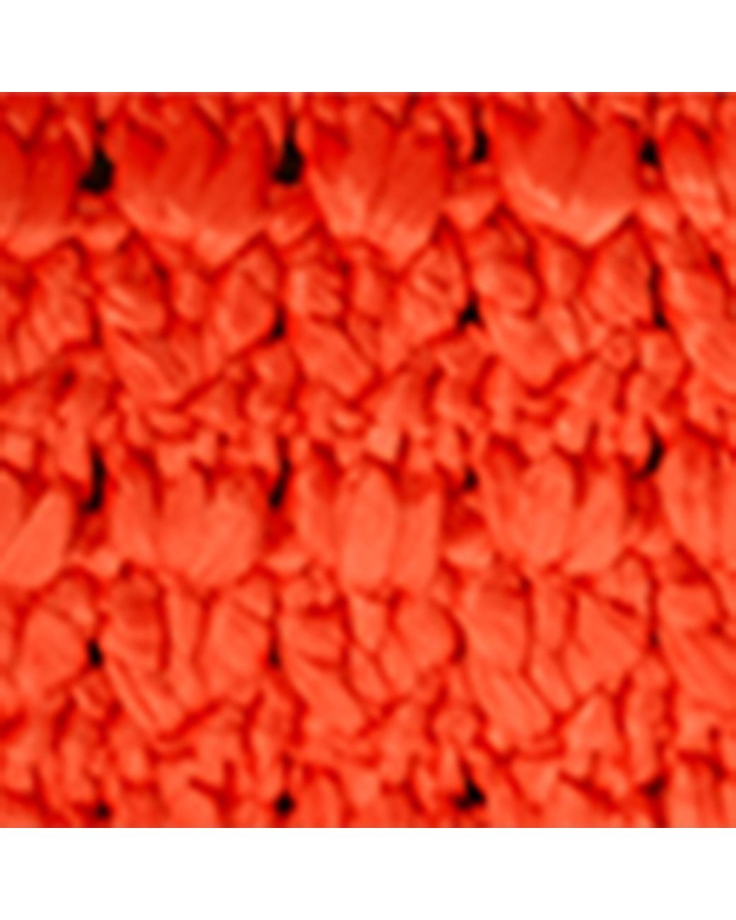 Loewe Red X Cosima Von Bonin Medium Crochet Amazona 180 Lazy Crab Top-Handle Bag