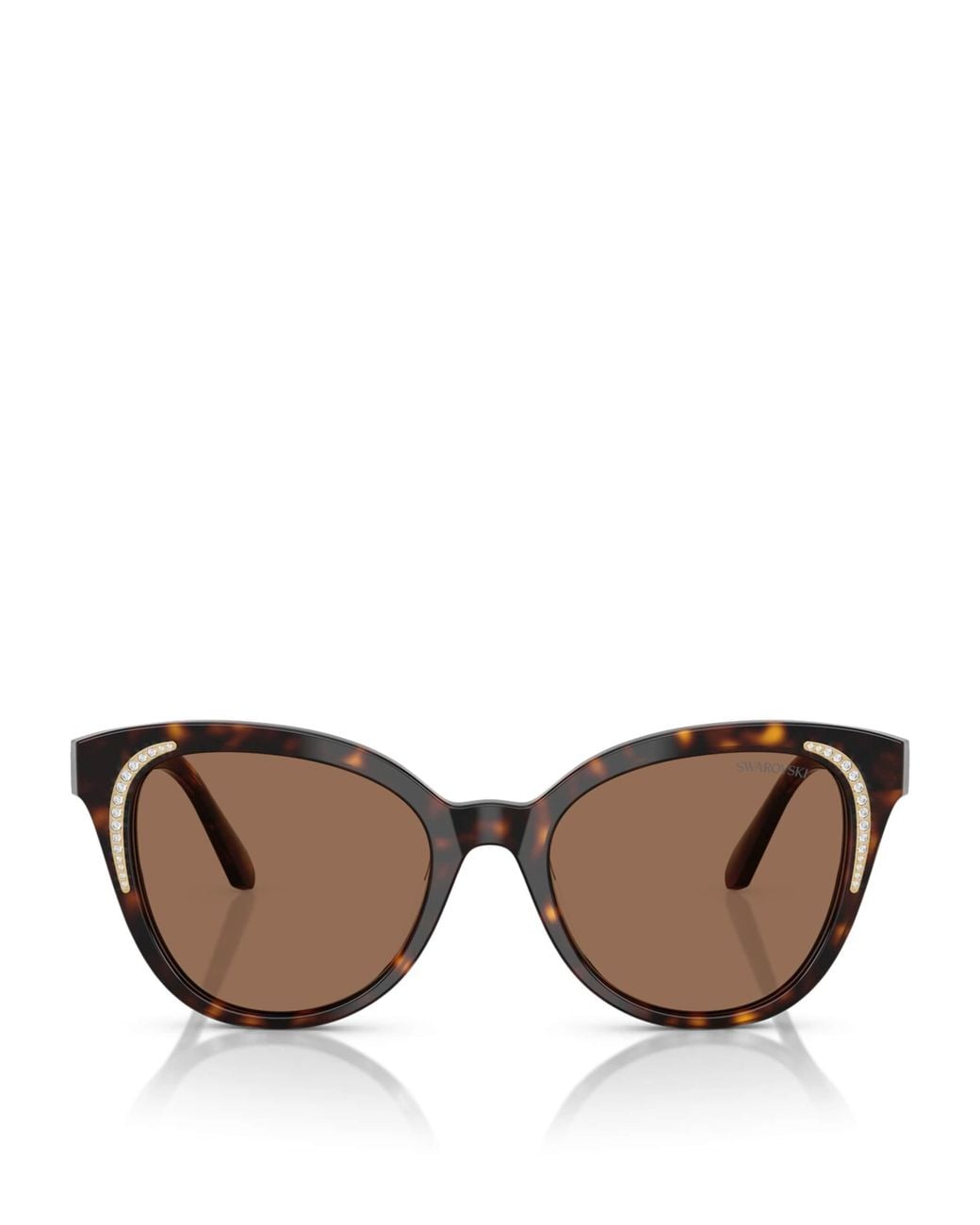 Swarovski Brown Acetate Sk6031 Sunglasses