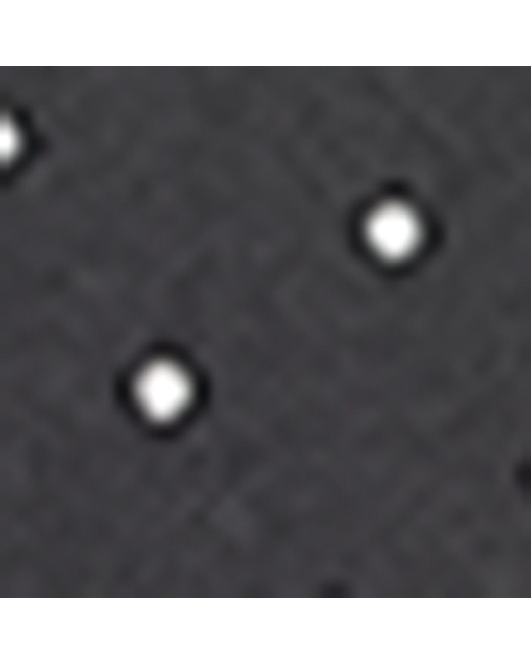 Tom Ford Gray Silk Polka-Dot Scarf for men