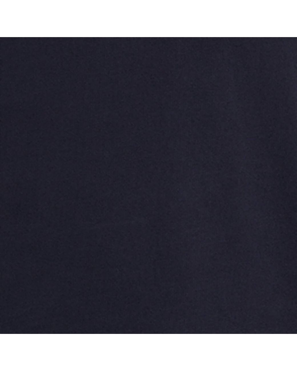 Sunspel Blue Loopback Sweatshirt for men