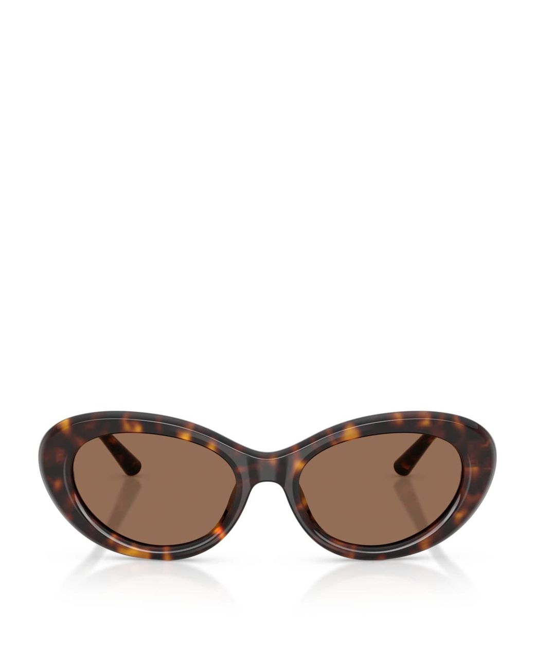Dolce & Gabbana Brown Acetate Dg4519 Marlene Sunglasses