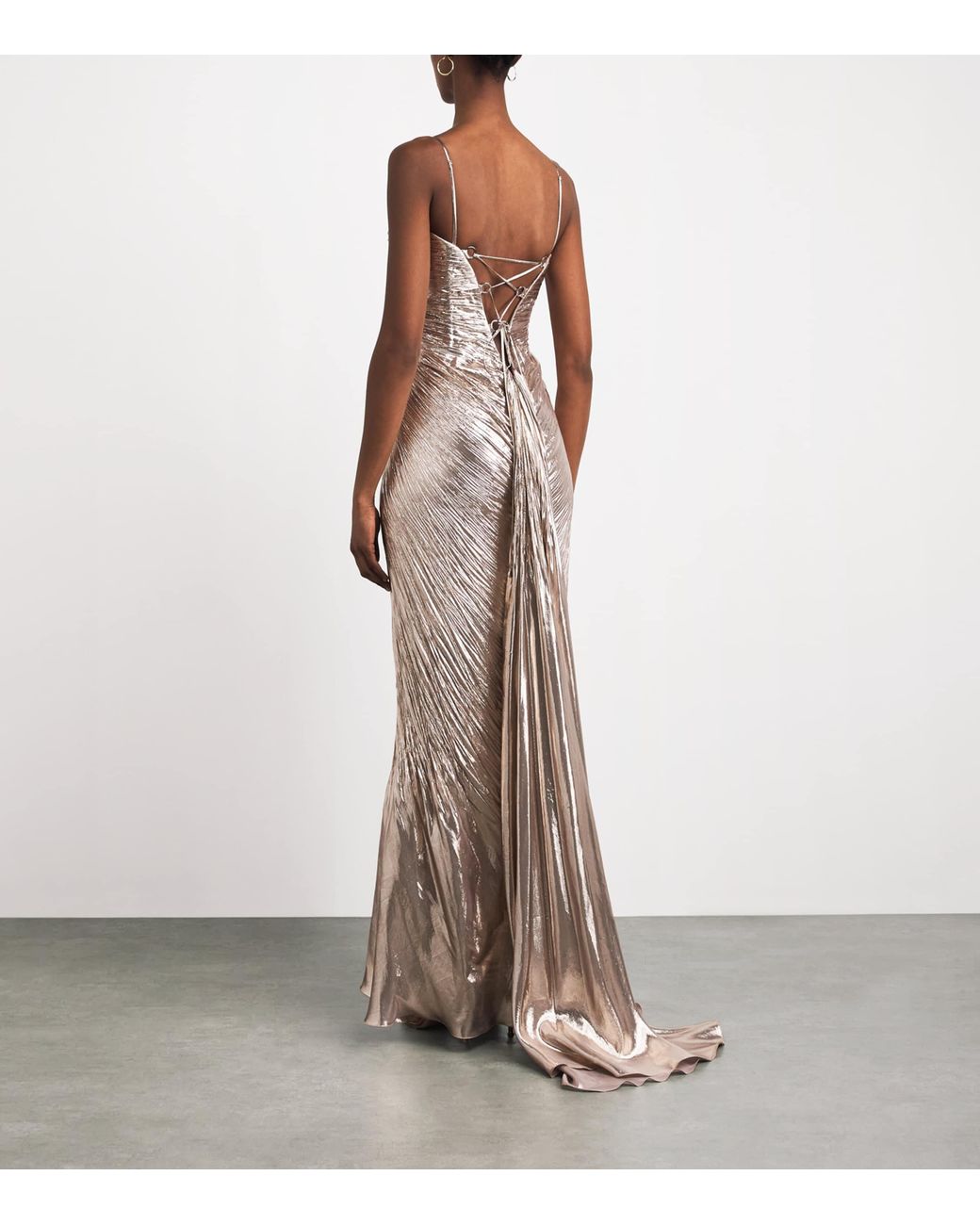 Maria Lucia Hohan Natural Metallic Silk Mirren Maxi Dress