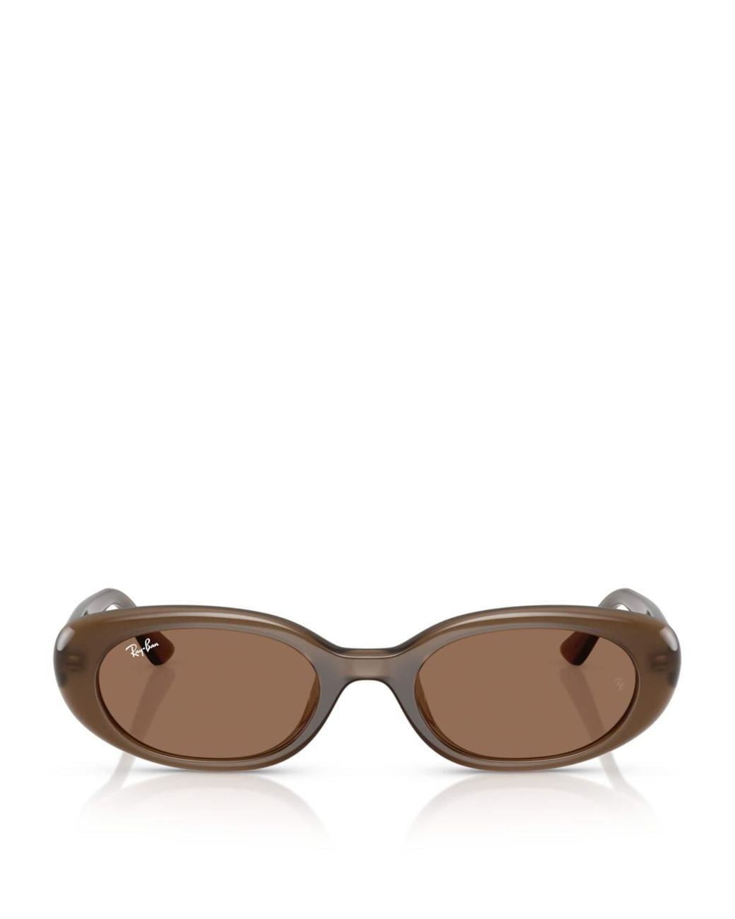Ray-Ban Brown Injected Oval Sunglasses