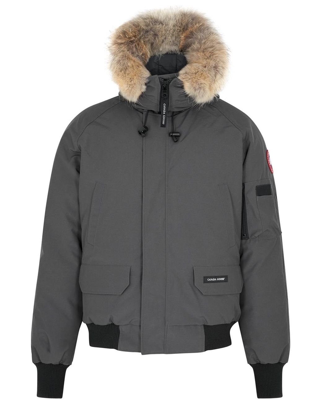 Canada goose cheap chilliwack grey