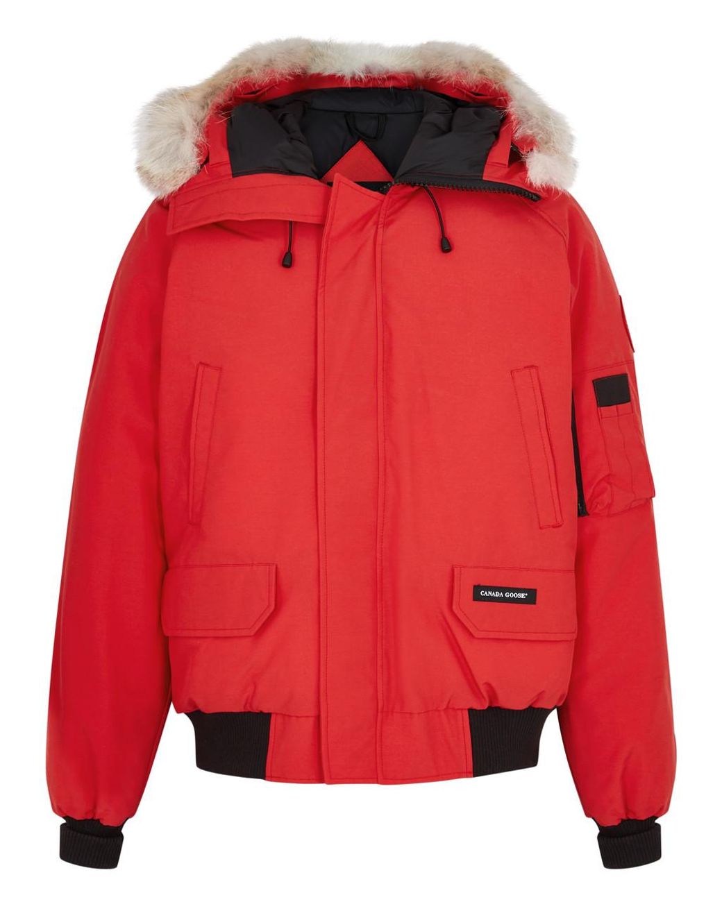 Canada goose chilliwack bomber harvey nichols cheap