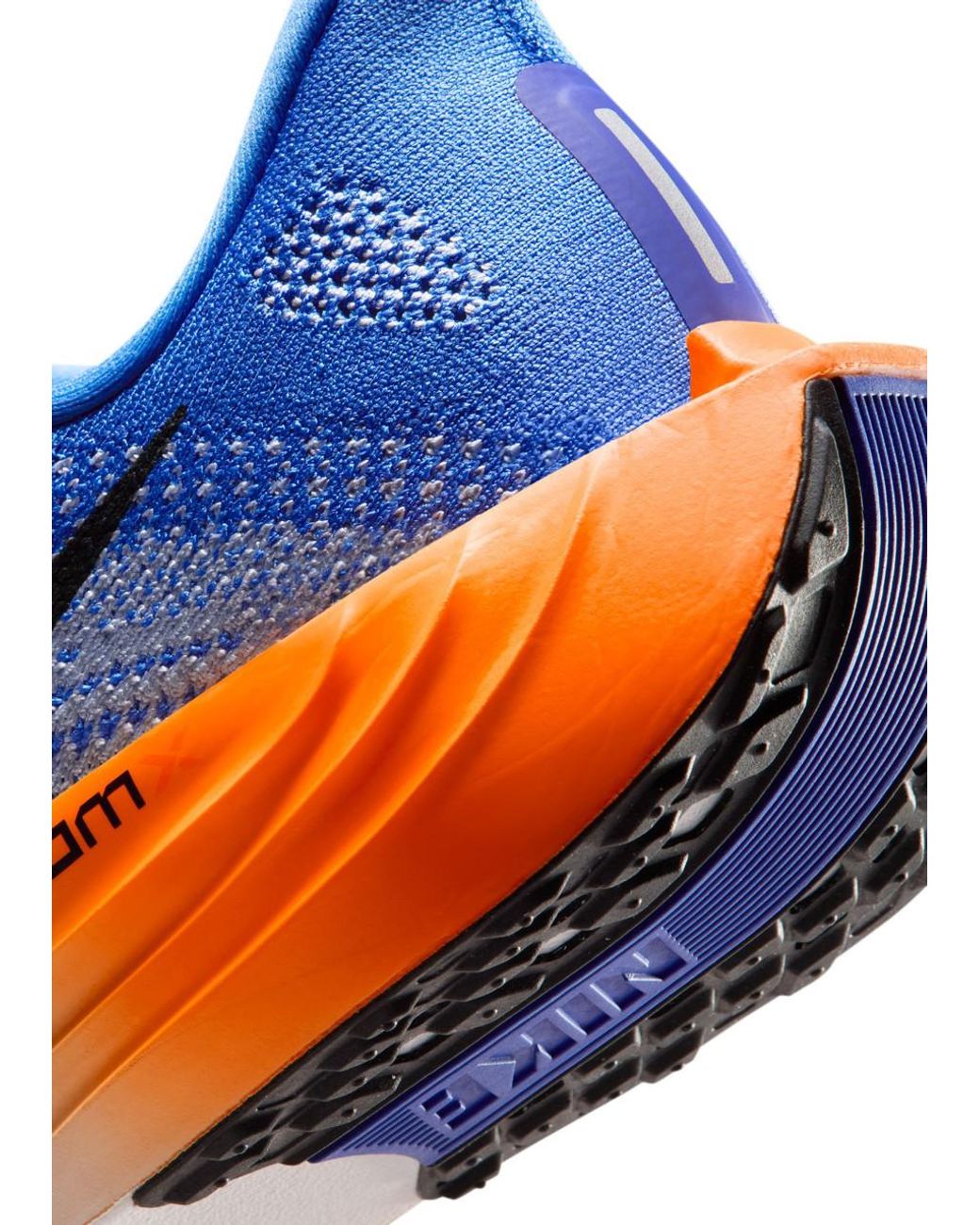 Nike Blue Pegasus Plus Sneakers for men
