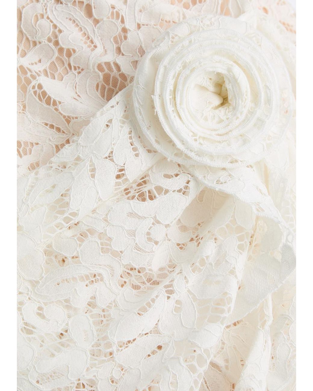 De La Vali Bodita Rose-Appliqu Lace Mini Dress in White | Lyst