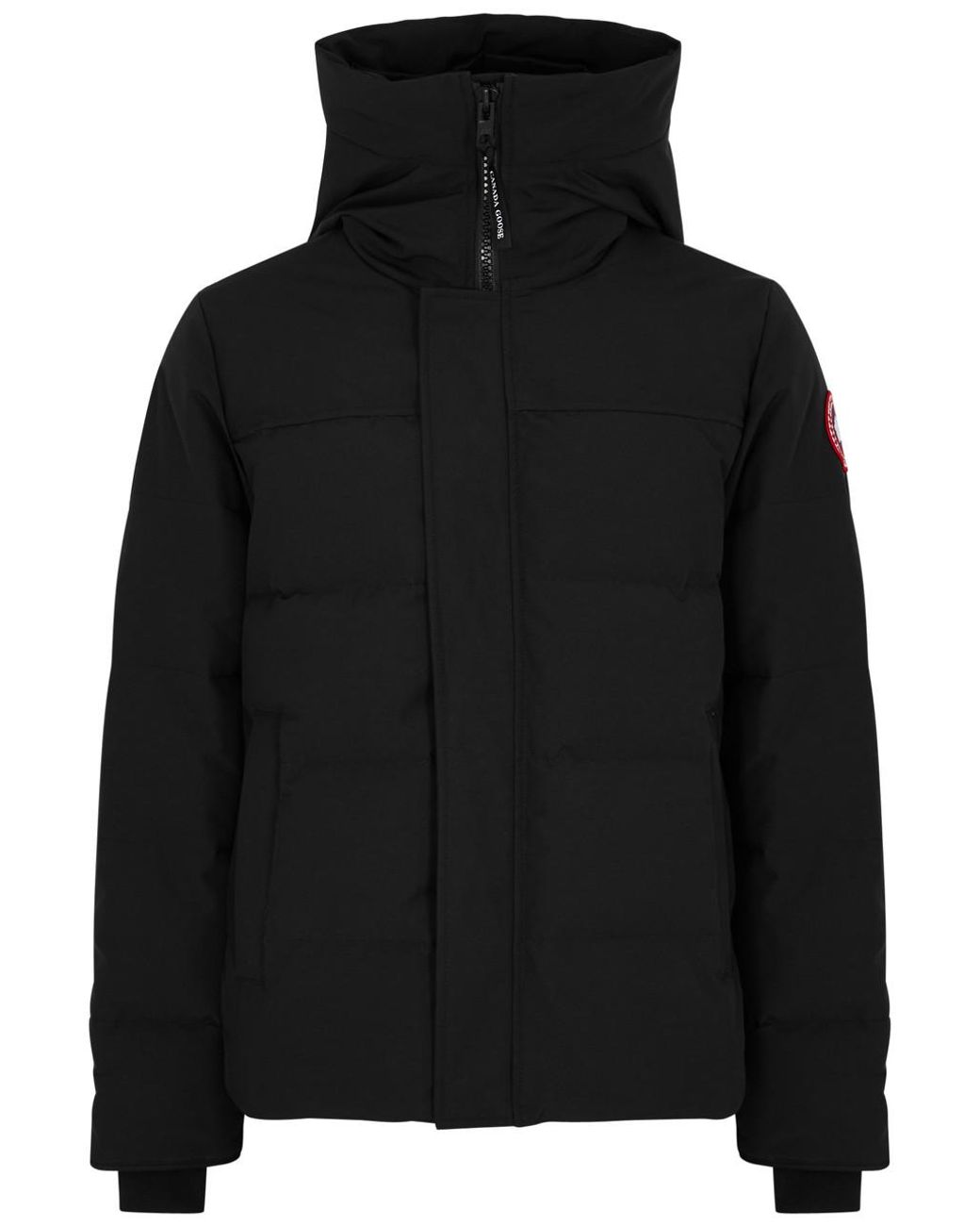 Canada goose wyndham parka harvey nichols cheap