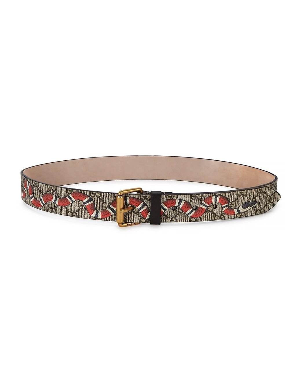 Gucci Kingsnake Print GG Supreme Canvas Belt in Natural for Men | Lyst