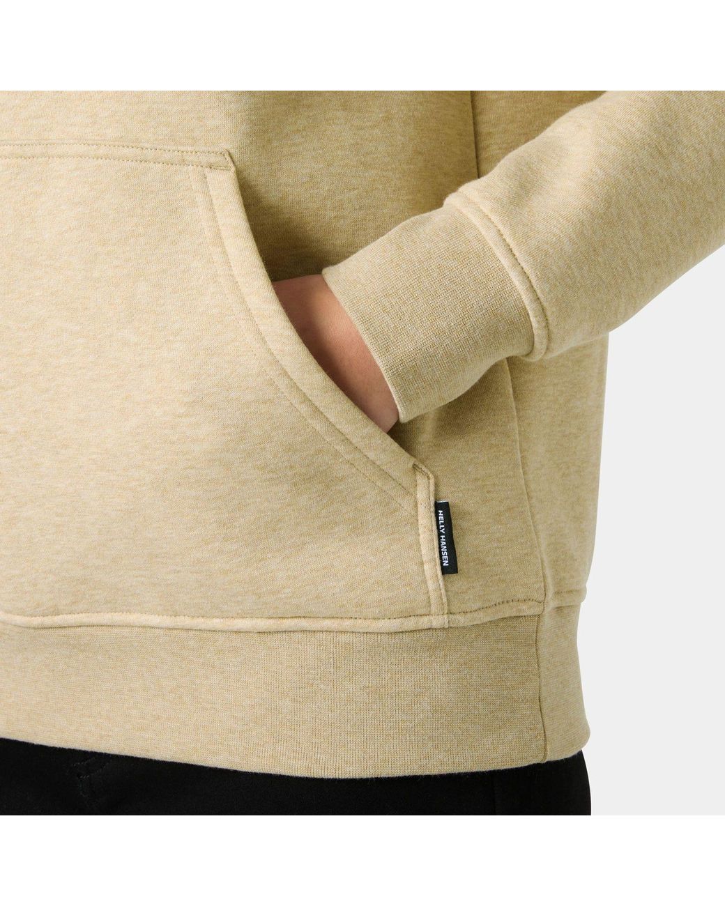 Helly Hansen Natural Elevate Hoodie