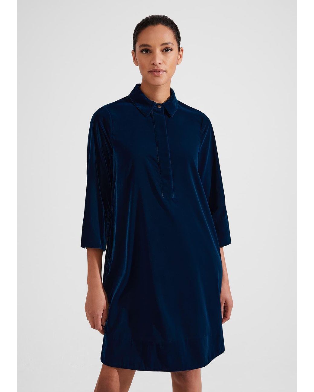 Hobbs Blue Velvet Marciella Dress
