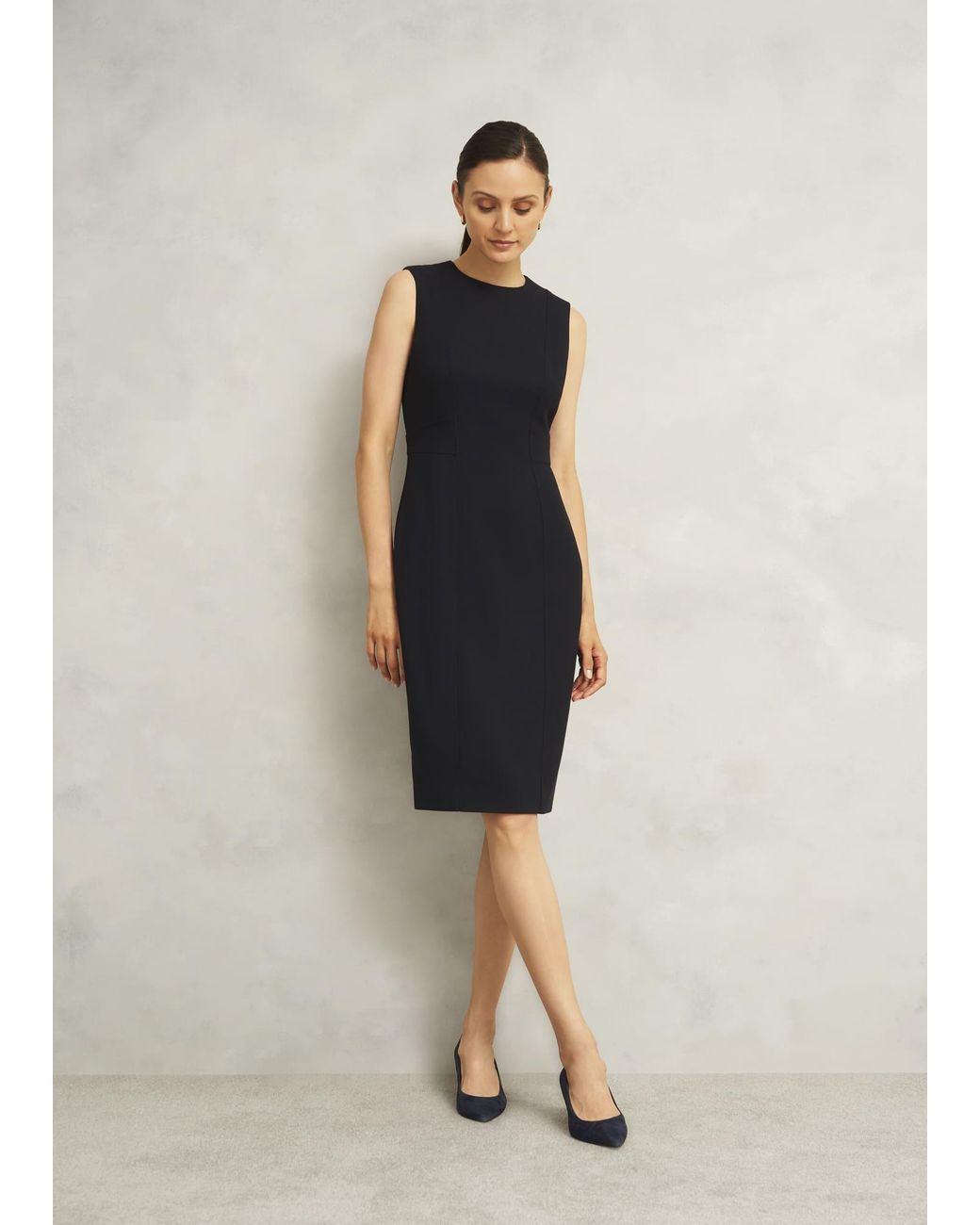 Hobbs Blue Petite Ivy Dress