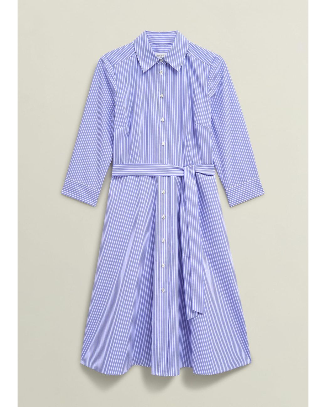 Hobbs Blue Petite Harlow Cotton Dress