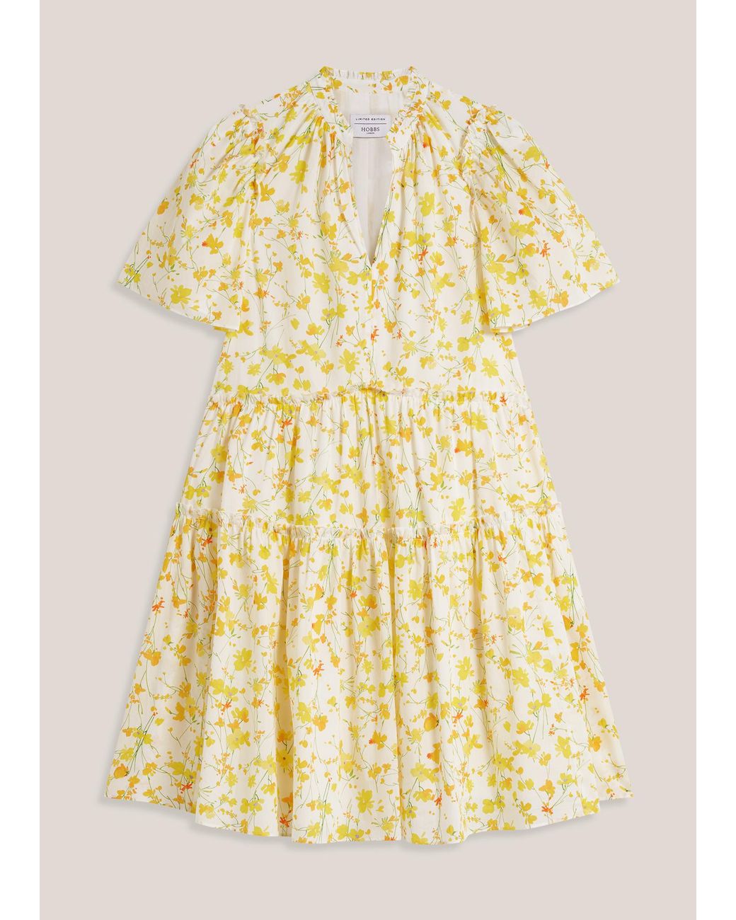 Hobbs Green Edenbridge Cotton Floral Dress