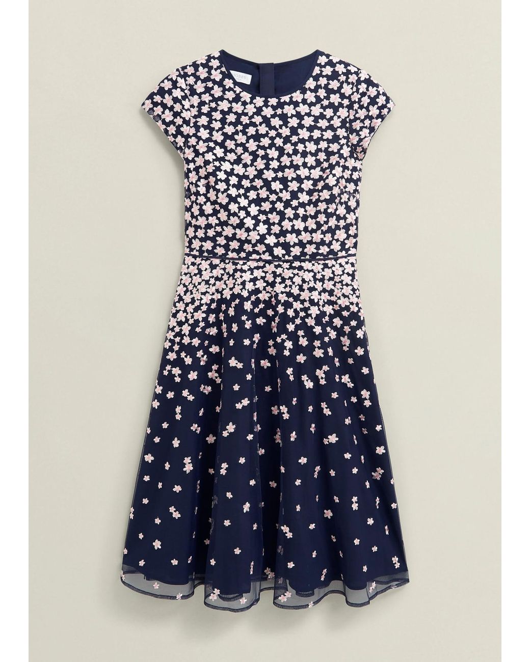 Hobbs Blue Betty Embroidered Dress