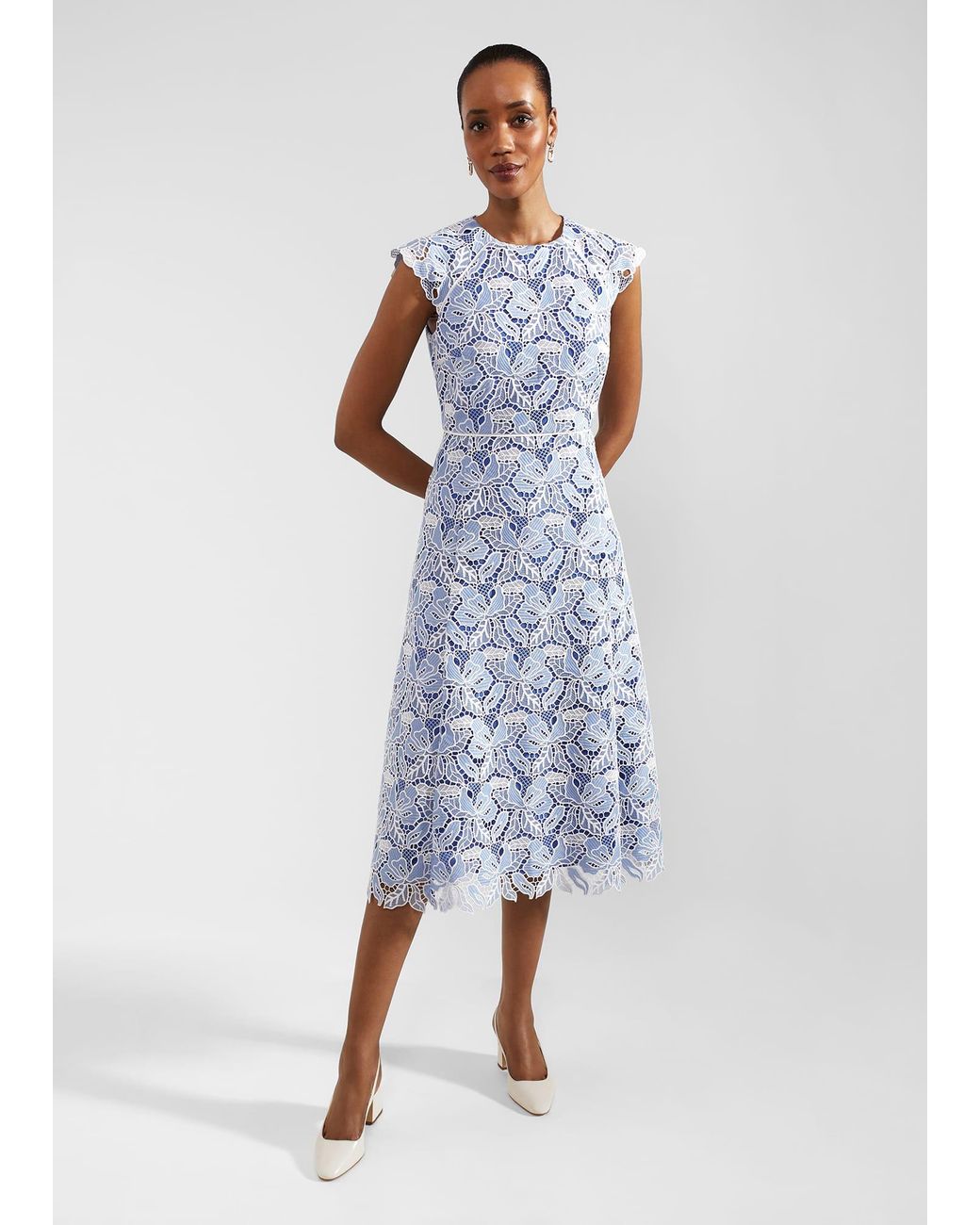 Hobbs Blue Petite Phoebe Lace Dress