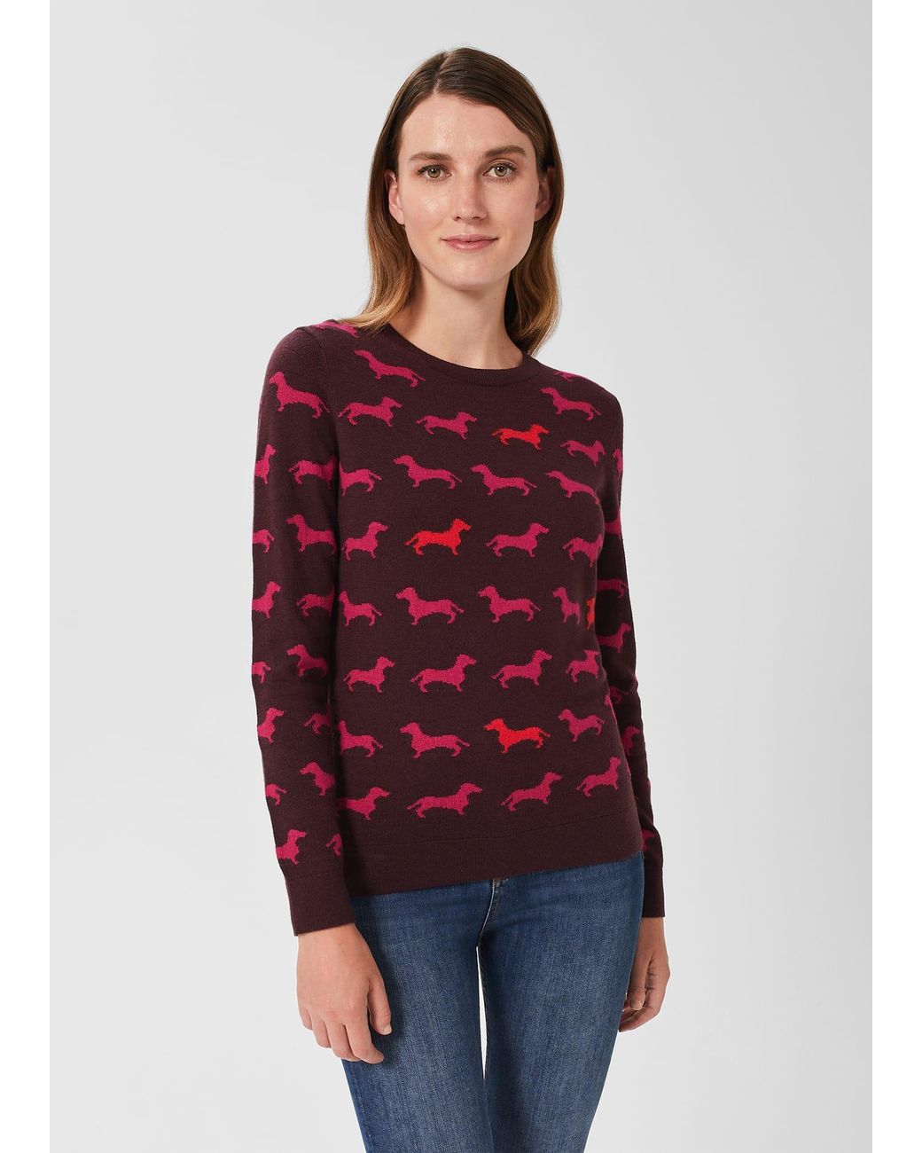 Hobbs fox jumper online