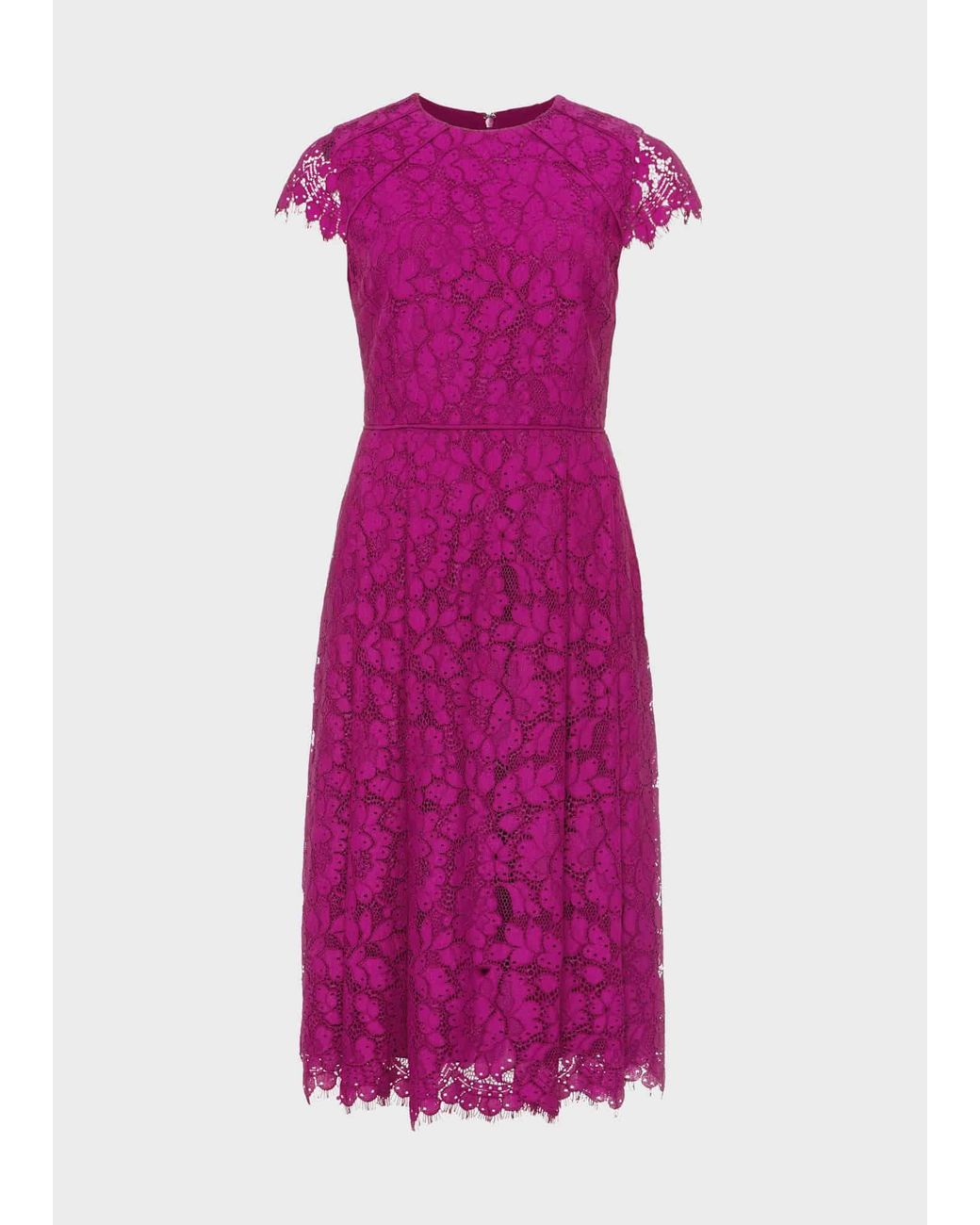 Hobbs Purple Petite Rosaleen Lace Shift Dress
