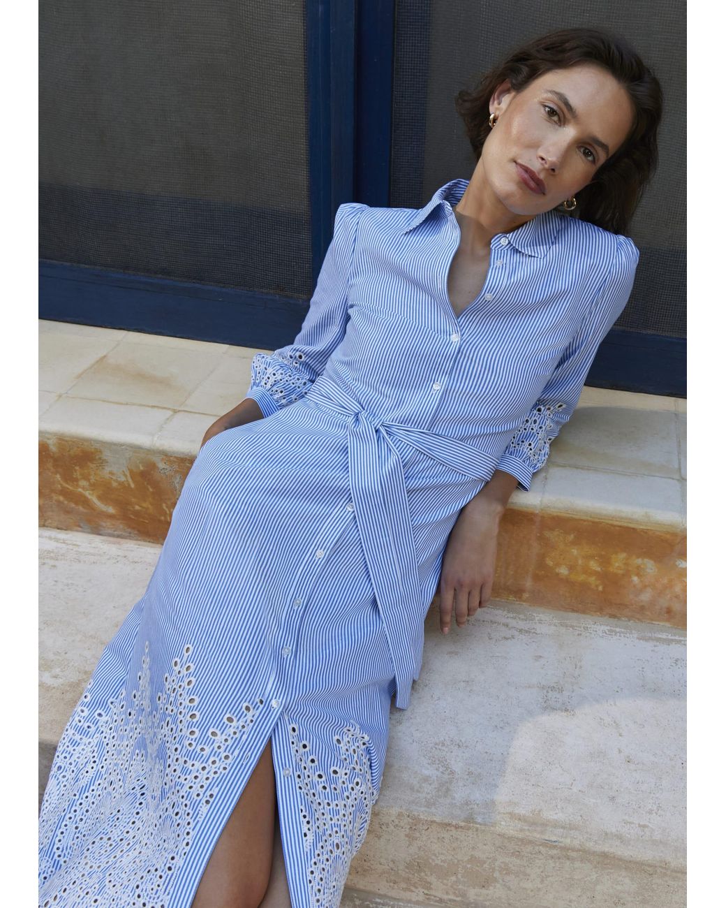 Hobbs Blue Juliette Cotton Dress