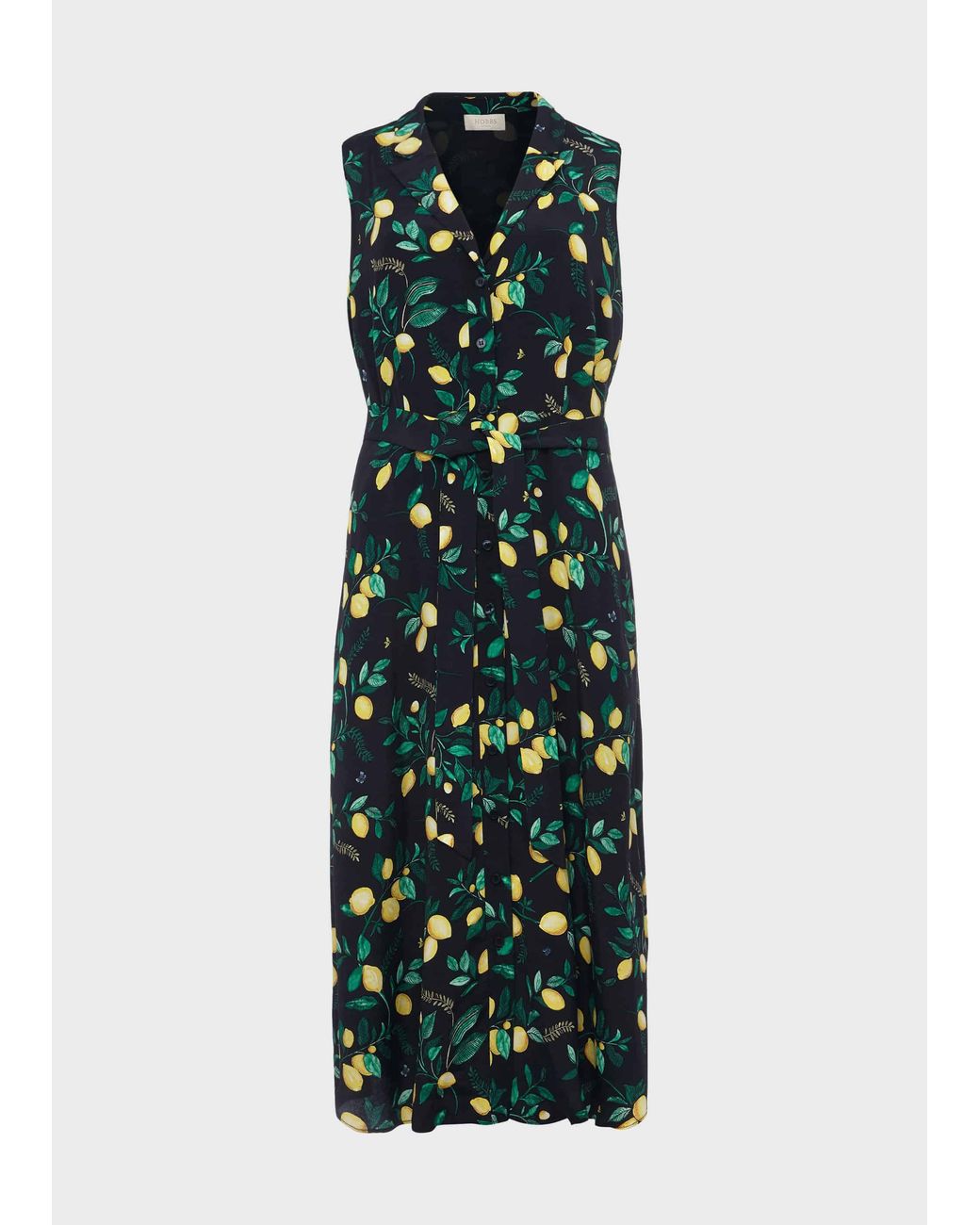 Hobbs Green Carina Printed Midi Dress