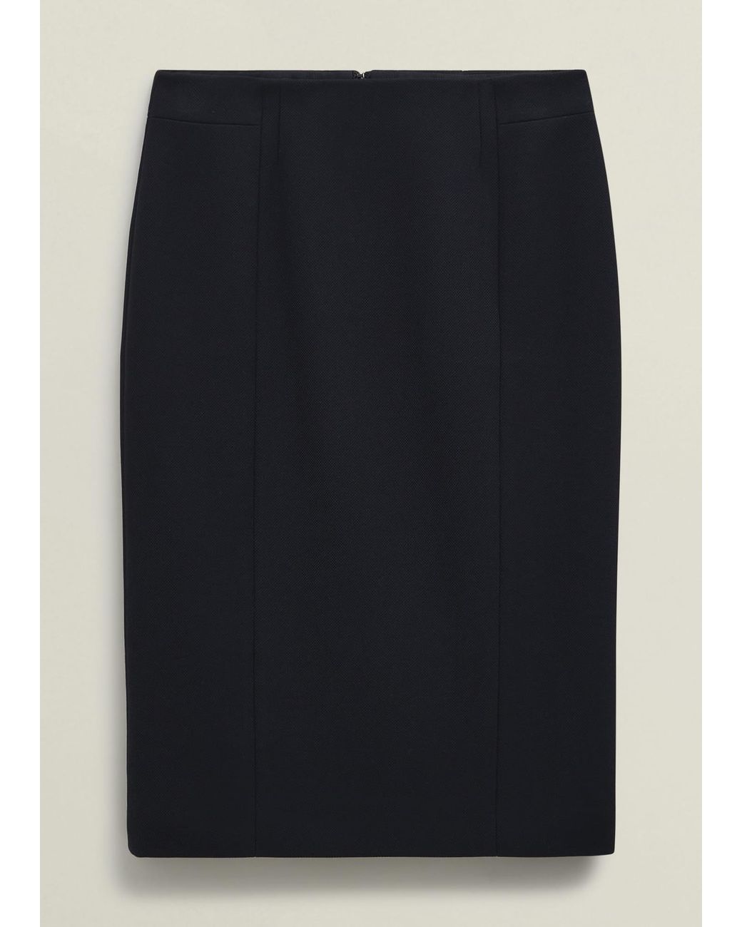 Hobbs Blue Ivy Skirt