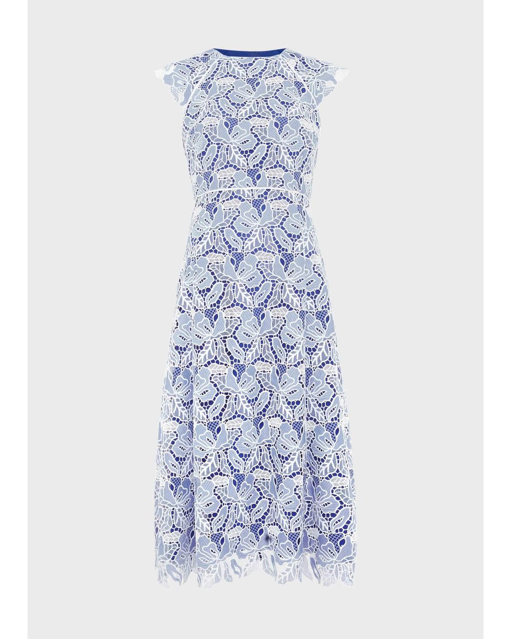Hobbs Blue Petite Phoebe Lace Dress