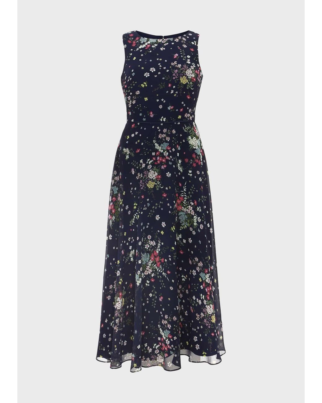 Hobbs Blue Carly Floral Fit And Flare Dress