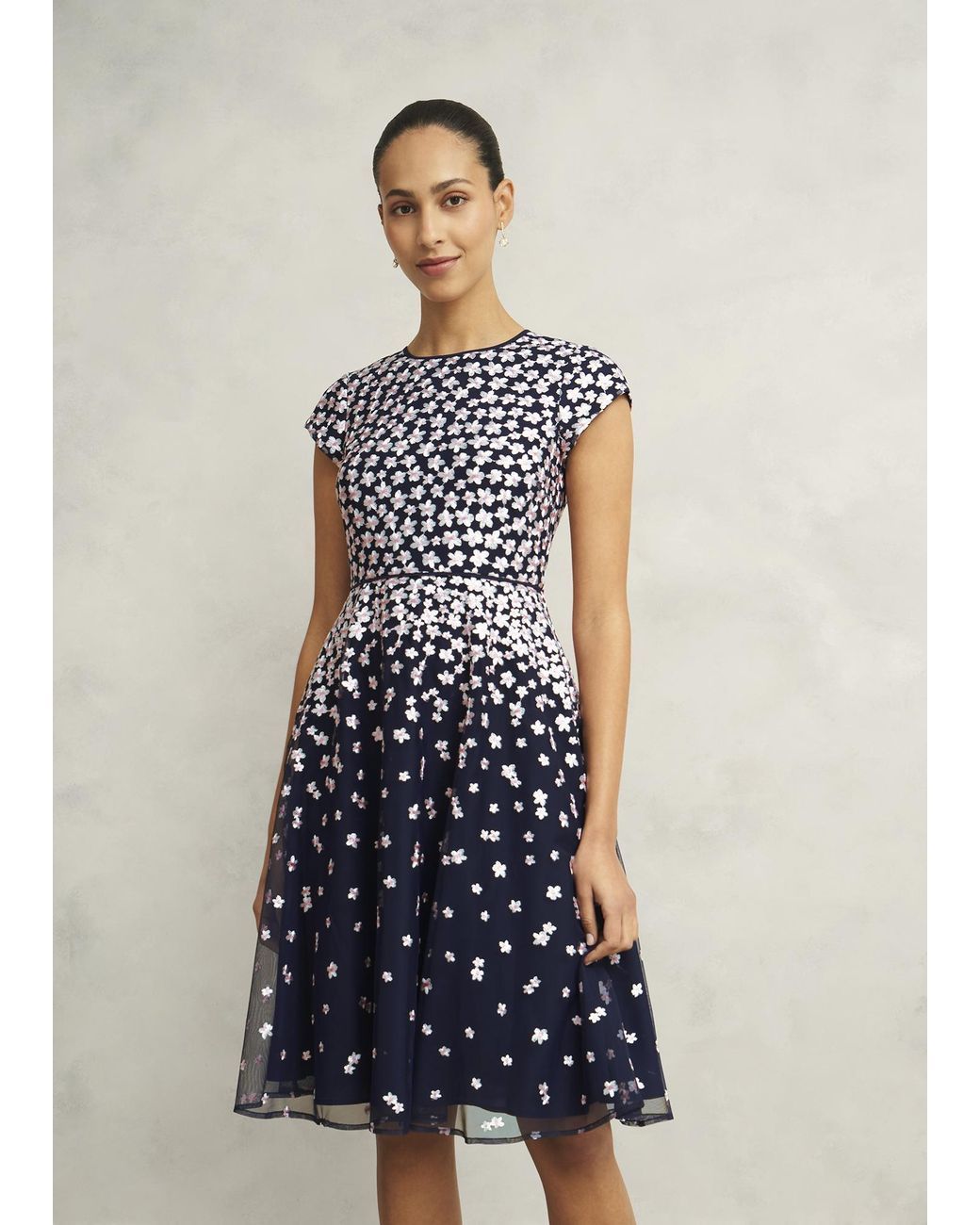 Hobbs Blue Betty Embroidered Dress