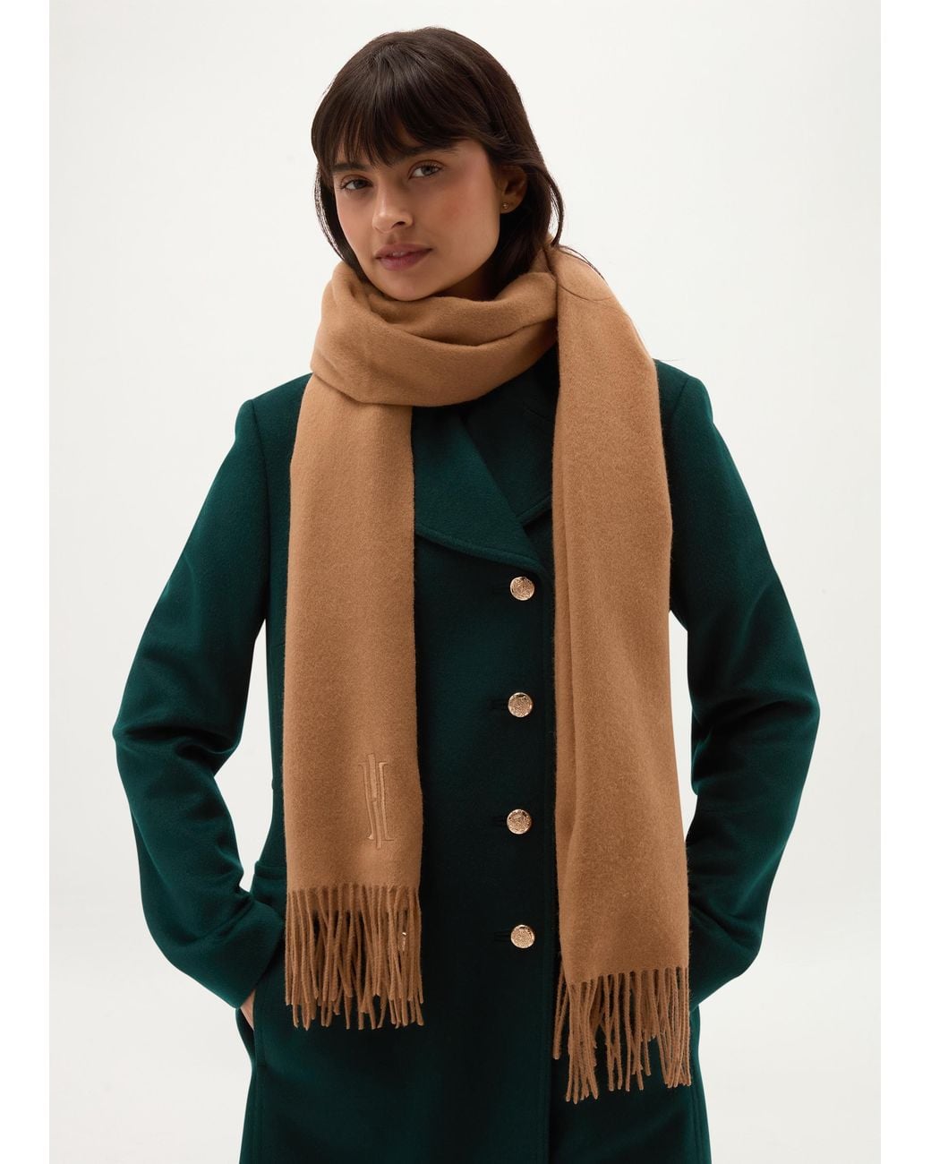 Hobbs Brown Emery Wool Scarf