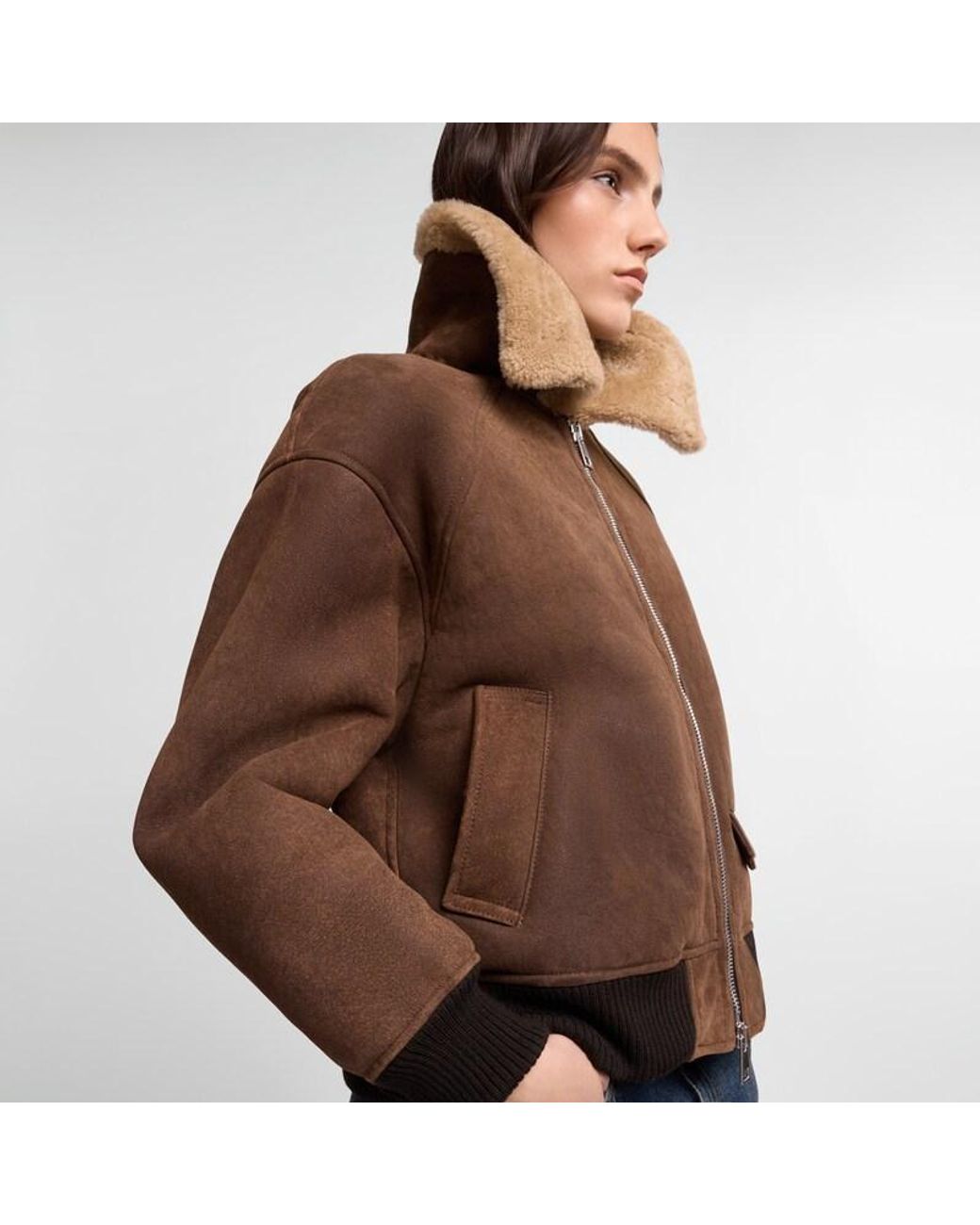 Hogan Brown Clothing,