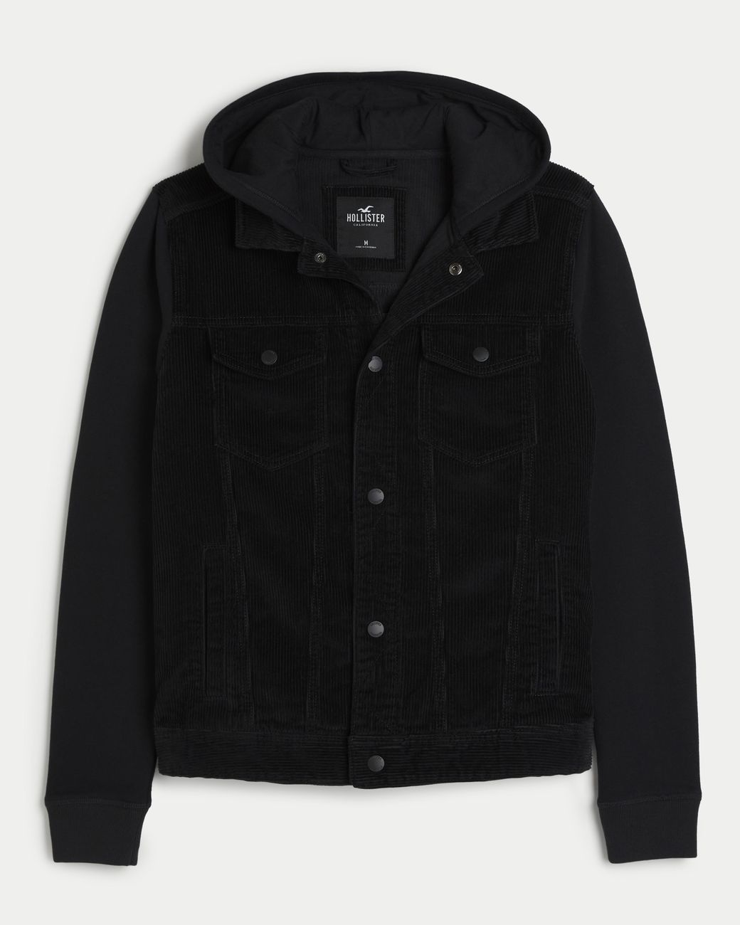 Hollister jackets shop