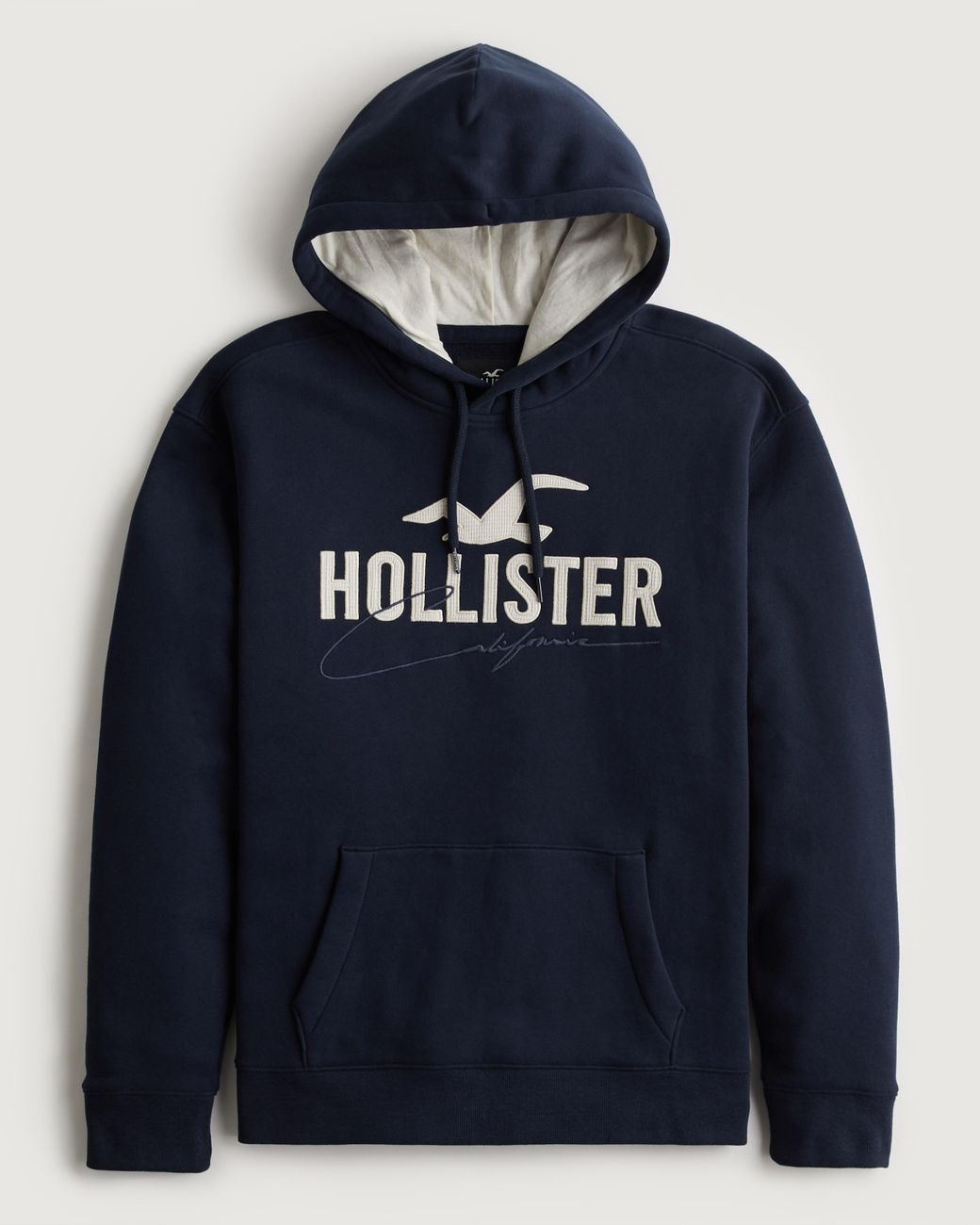 Hollister Applique Logo Graphic Hoodie in Blue for Men | Lyst UK
