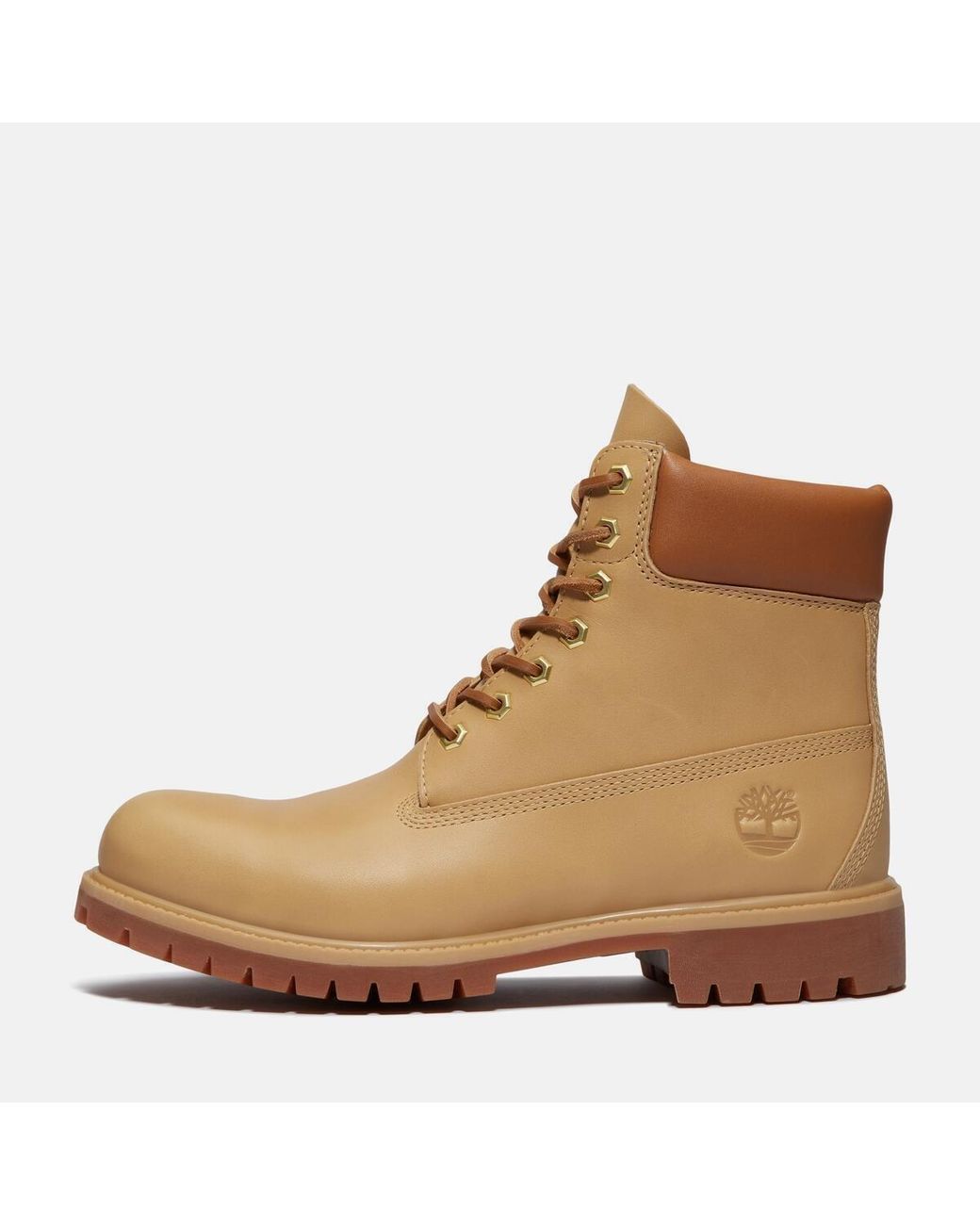Timberland Brown Founder's 6-Inch Waterproof Boot For for men