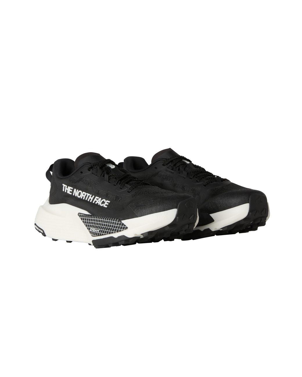 The North Face Black Tnf Altamesa 500 V2
