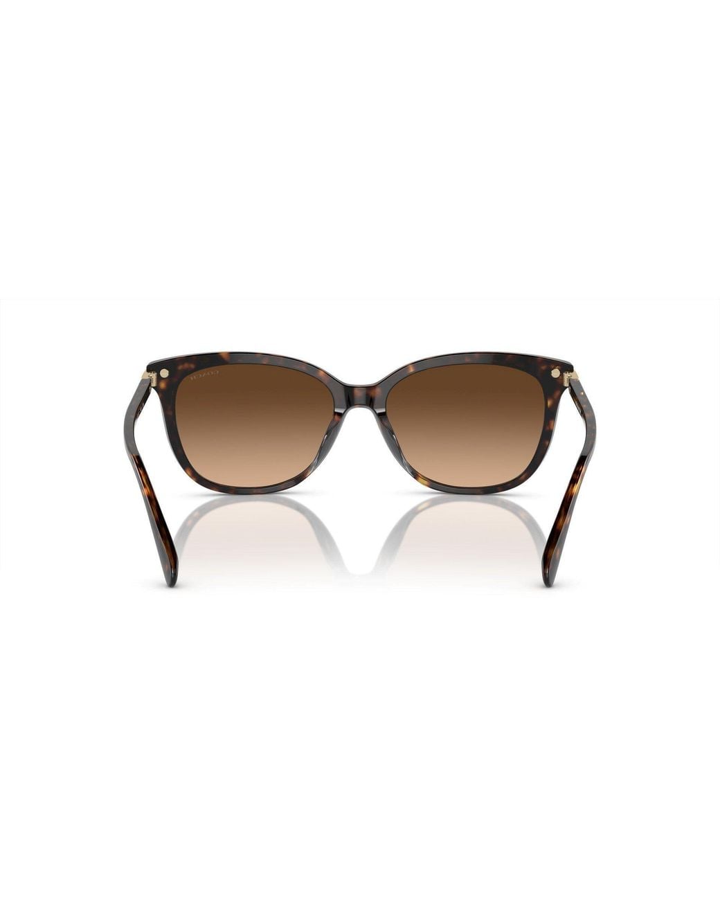 COACH Brown Round Sunglasses
