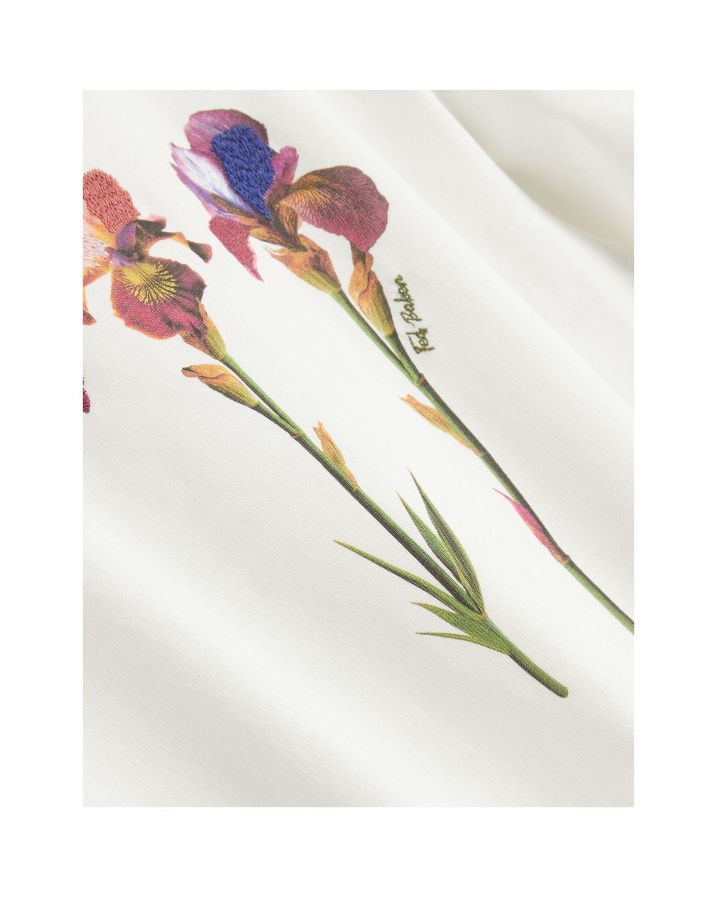 Ted Baker White Ted Embroided Tee Ld71