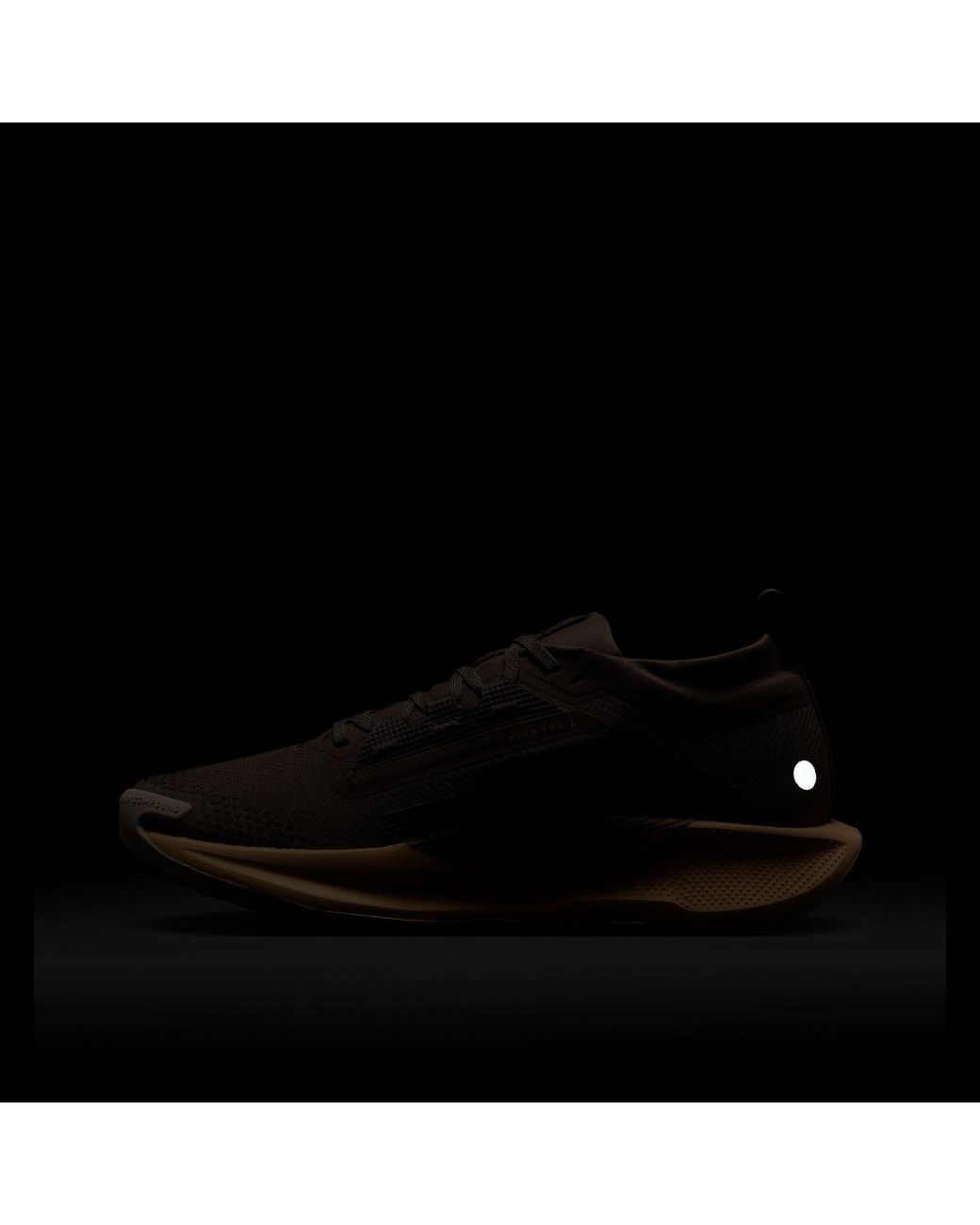Nike Brown Pegasus Trail 5 Gore-Tex Running Shoes