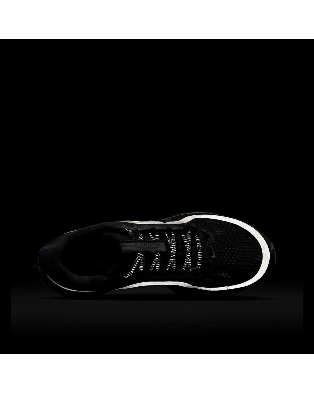 Nike Black Pegasus Premium Trainers