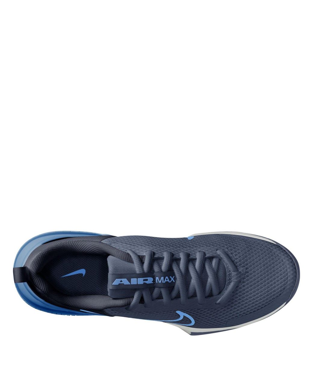 Nike Blue Air Max Alpha Trainer 6 Workout Shoes for men
