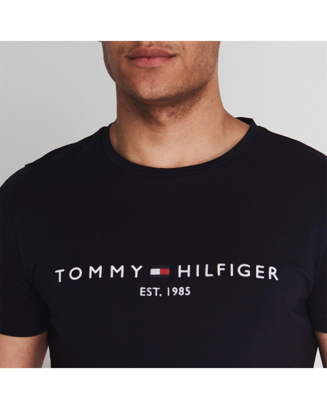 Tommy Hilfiger Blue Logo Crew Neck T Shirt for men