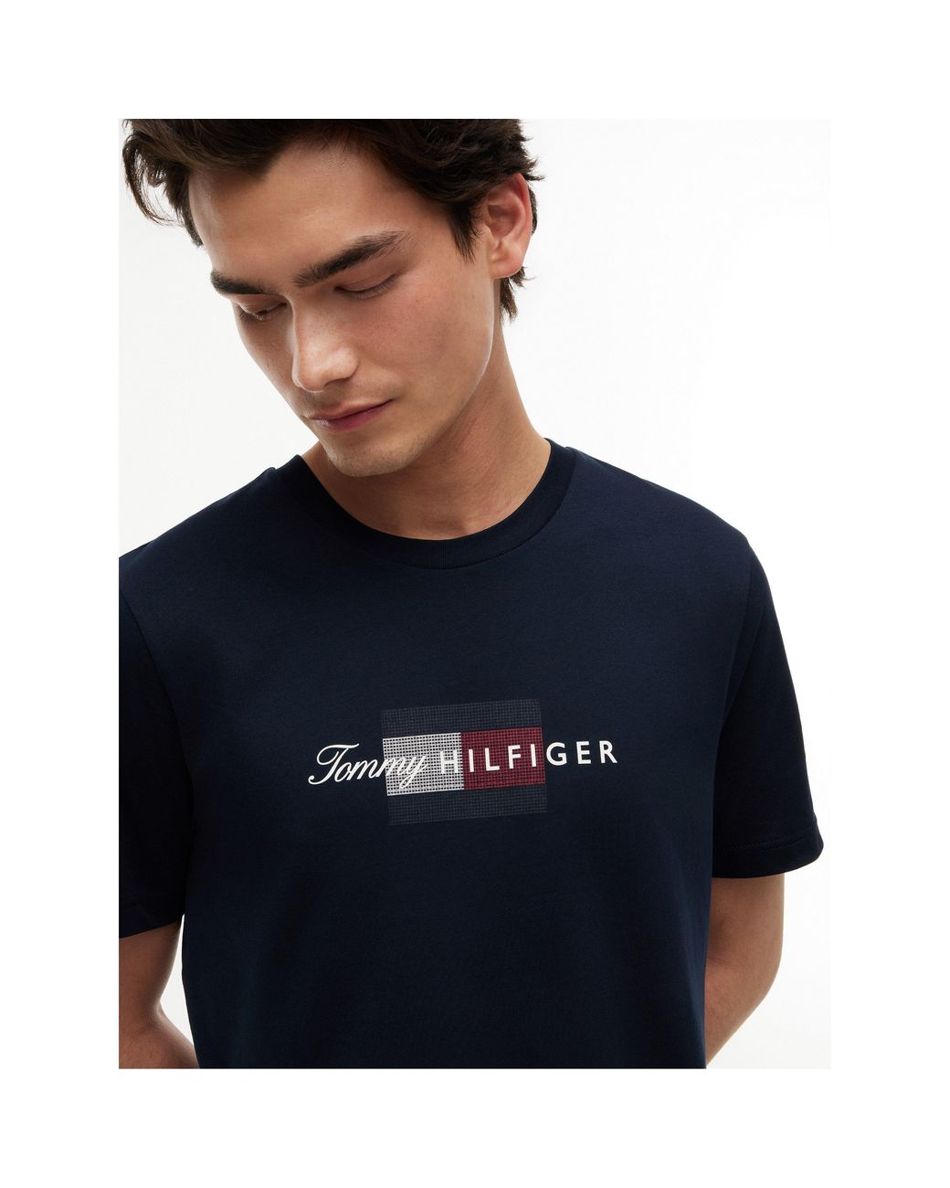 Tommy Hilfiger Blue T-Shirt for men