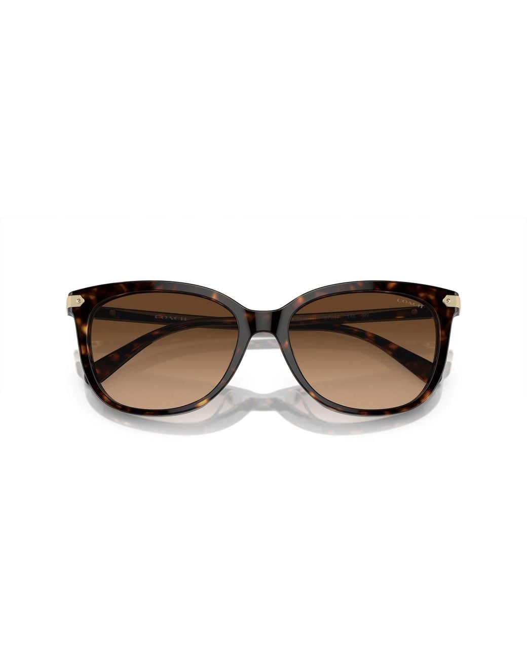 COACH Brown Round Sunglasses