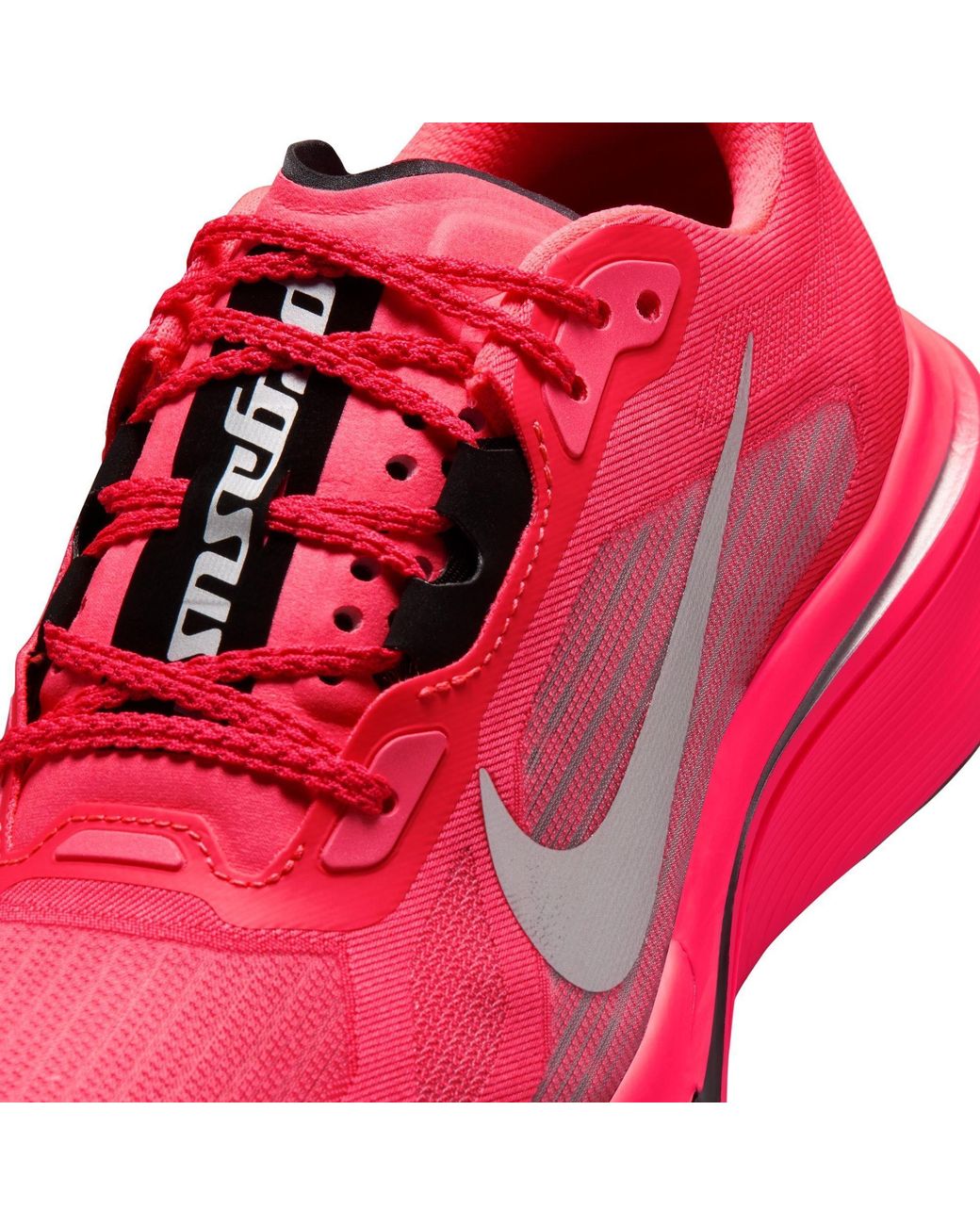 Nike Red Pegasus Plus 2 Ld64