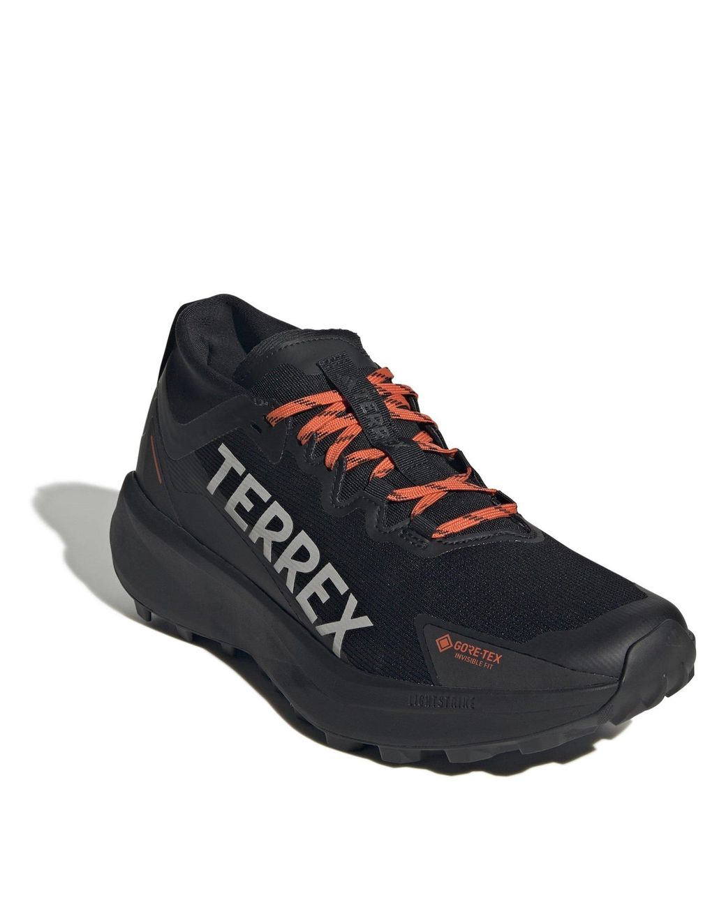 Adidas Blue Agravic Gore-Tex Trail Running Shoes for men