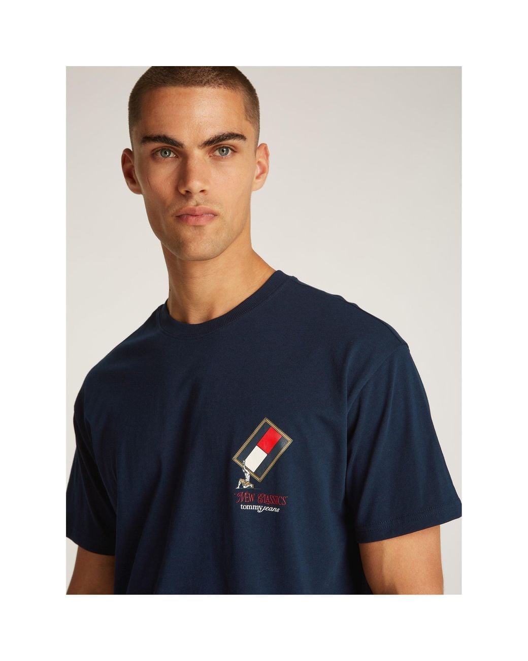 Tommy Hilfiger Blue Novelty T-Shirt for men