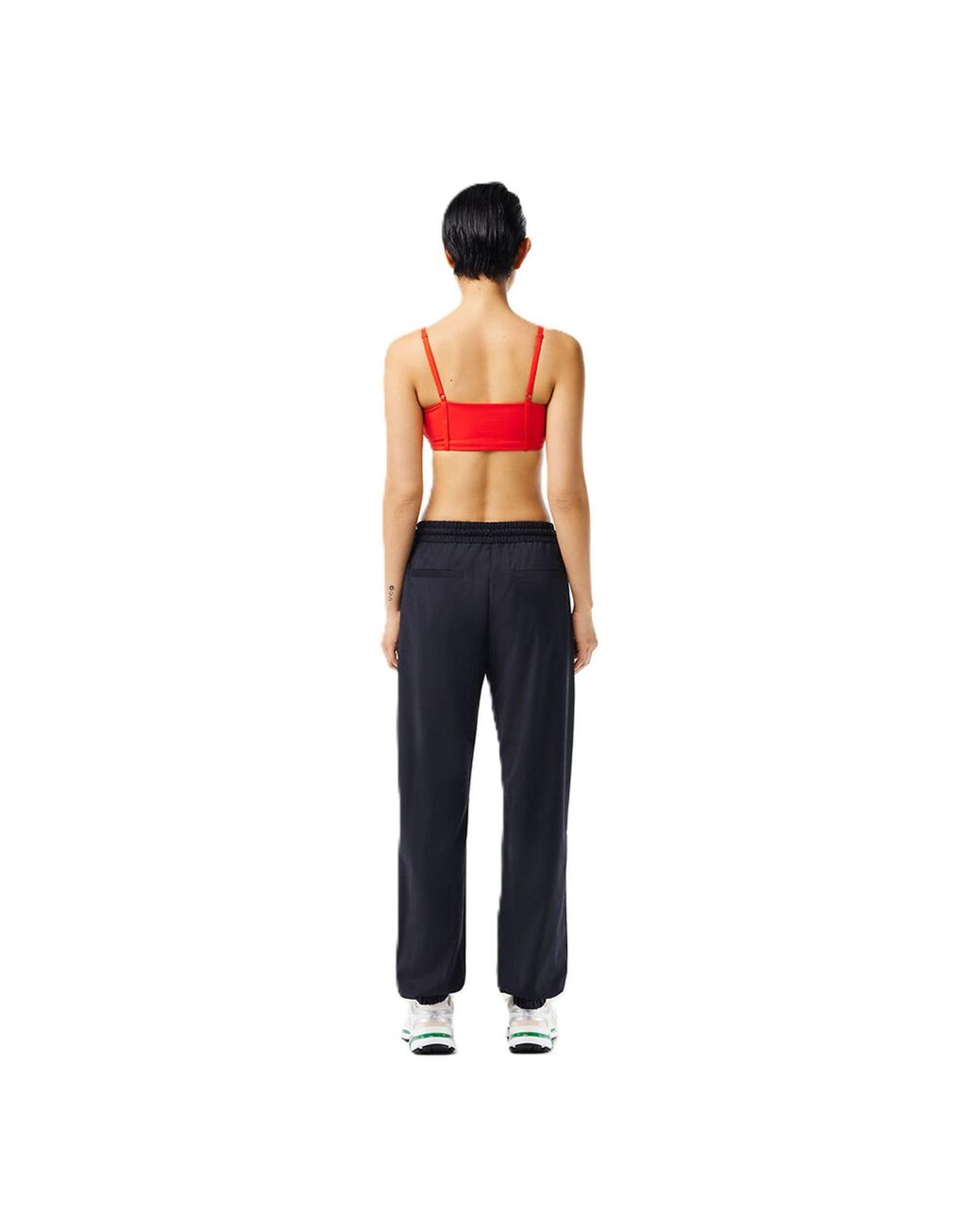 Lacoste Multicolor Closed Hem Fleece Joggers