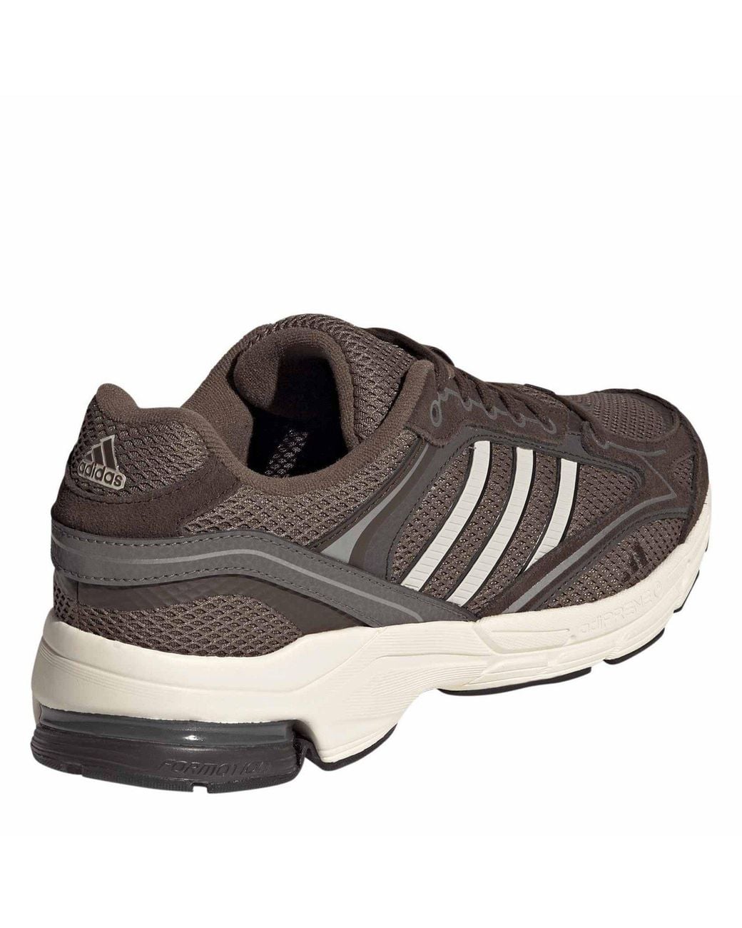 Adidas Brown Spiritain 2000 Trainers