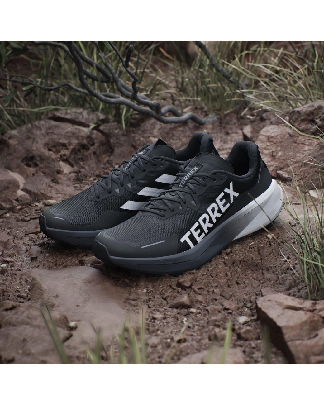Adidas Black Terrex Agravic 3 Trail Running Shoes for men
